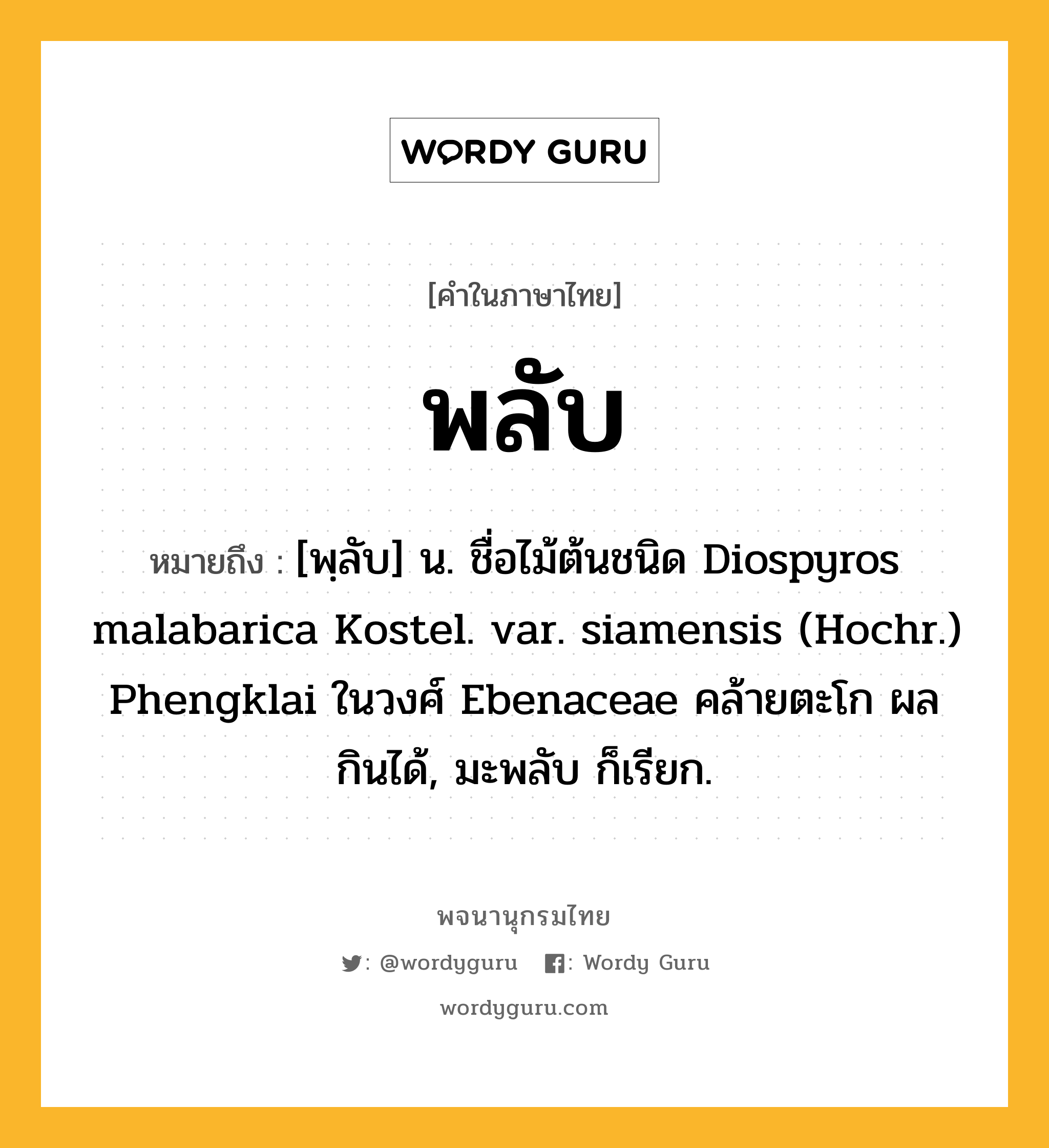 พลับ ความหมาย หมายถึงอะไร?, คำในภาษาไทย พลับ หมายถึง [พฺลับ] น. ชื่อไม้ต้นชนิด Diospyros malabarica Kostel. var. siamensis (Hochr.) Phengklai ในวงศ์ Ebenaceae คล้ายตะโก ผลกินได้, มะพลับ ก็เรียก.