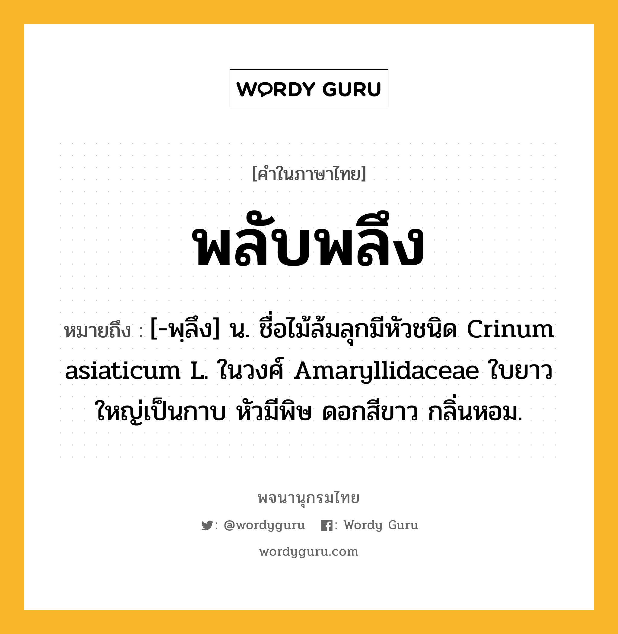 พลับพลึง ความหมาย หมายถึงอะไร?, คำในภาษาไทย พลับพลึง หมายถึง [-พฺลึง] น. ชื่อไม้ล้มลุกมีหัวชนิด Crinum asiaticum L. ในวงศ์ Amaryllidaceae ใบยาวใหญ่เป็นกาบ หัวมีพิษ ดอกสีขาว กลิ่นหอม.