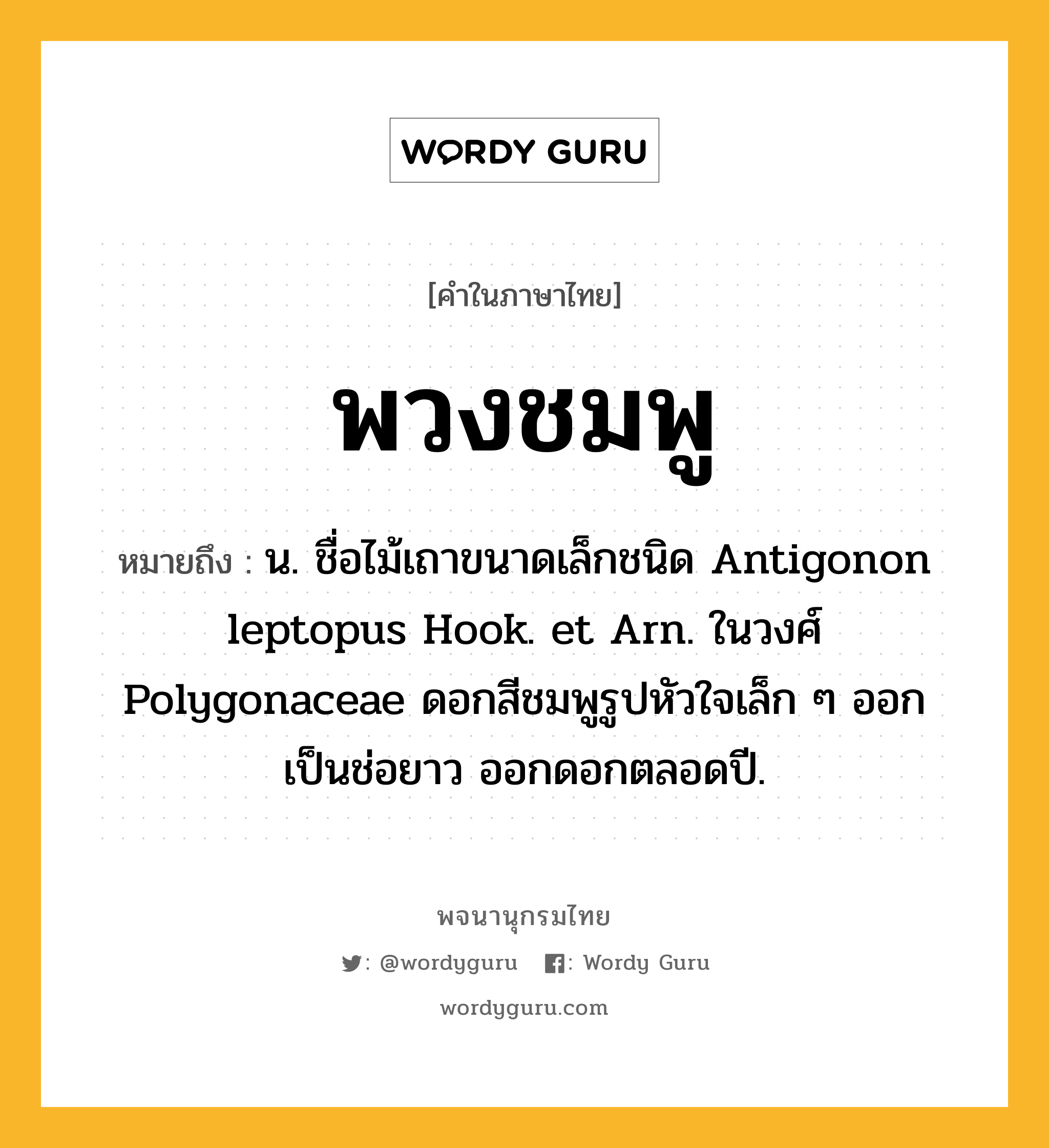 พวงชมพู หมายถึงอะไร?, คำในภาษาไทย พวงชมพู หมายถึง น. ชื่อไม้เถาขนาดเล็กชนิด Antigonon leptopus Hook. et Arn. ในวงศ์ Polygonaceae ดอกสีชมพูรูปหัวใจเล็ก ๆ ออกเป็นช่อยาว ออกดอกตลอดปี.