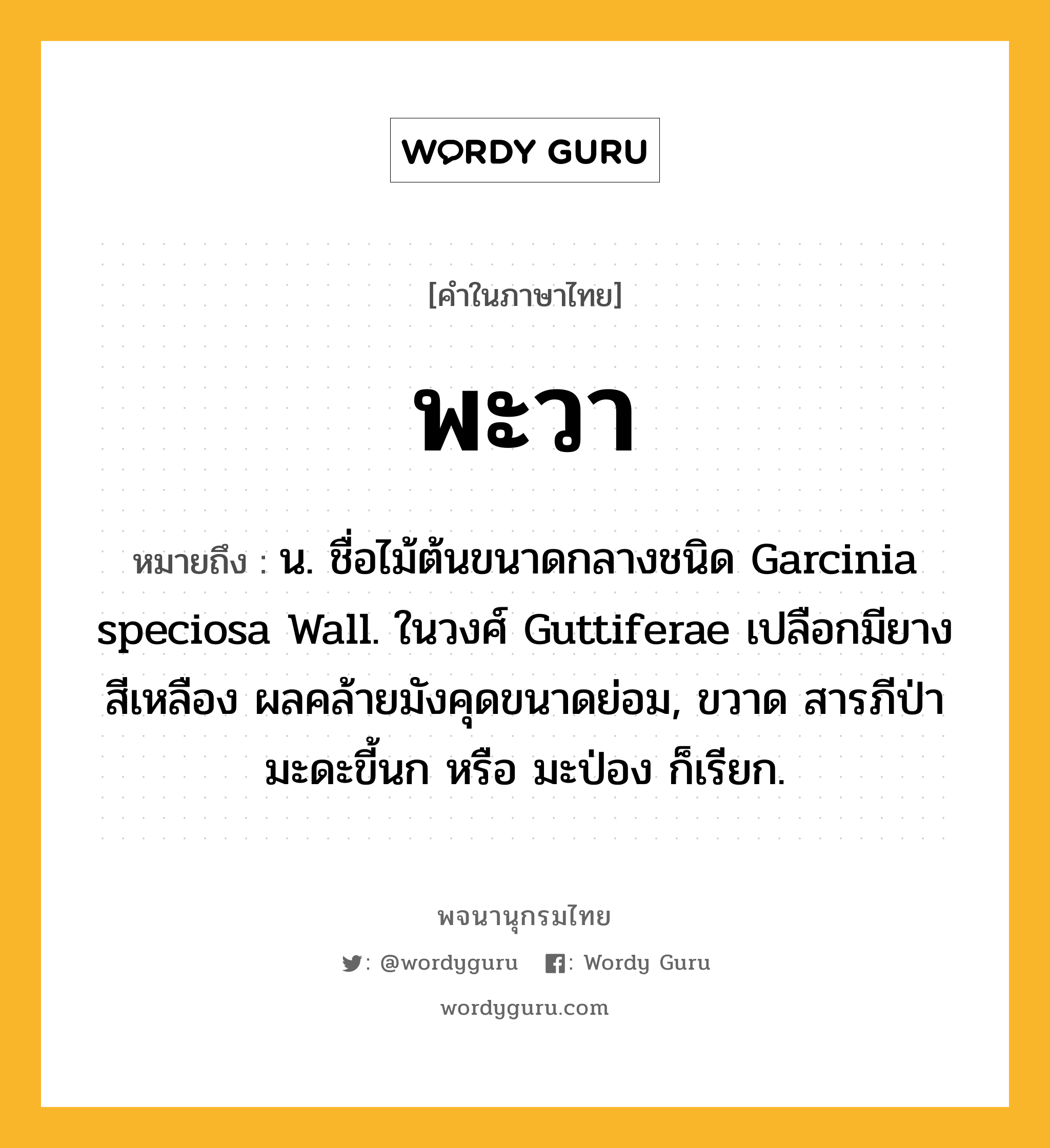 พะวา ความหมาย หมายถึงอะไร?, คำในภาษาไทย พะวา หมายถึง น. ชื่อไม้ต้นขนาดกลางชนิด Garcinia speciosa Wall. ในวงศ์ Guttiferae เปลือกมียางสีเหลือง ผลคล้ายมังคุดขนาดย่อม, ขวาด สารภีป่า มะดะขี้นก หรือ มะป่อง ก็เรียก.