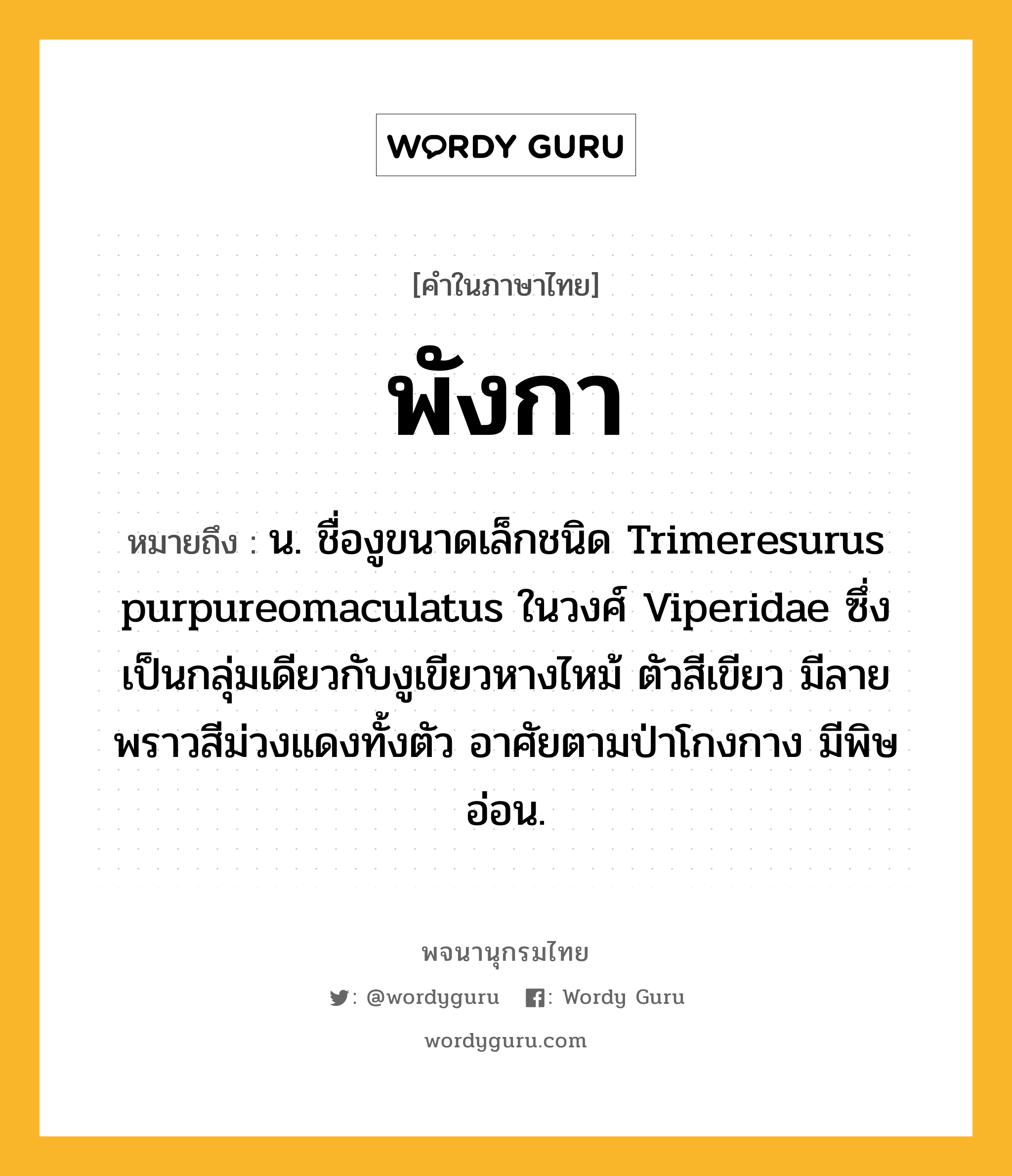 พังกา หมายถึงอะไร?, คำในภาษาไทย พังกา หมายถึง น. ชื่องูขนาดเล็กชนิด Trimeresurus purpureomaculatus ในวงศ์ Viperidae ซึ่งเป็นกลุ่มเดียวกับงูเขียวหางไหม้ ตัวสีเขียว มีลายพราวสีม่วงแดงทั้งตัว อาศัยตามป่าโกงกาง มีพิษอ่อน.