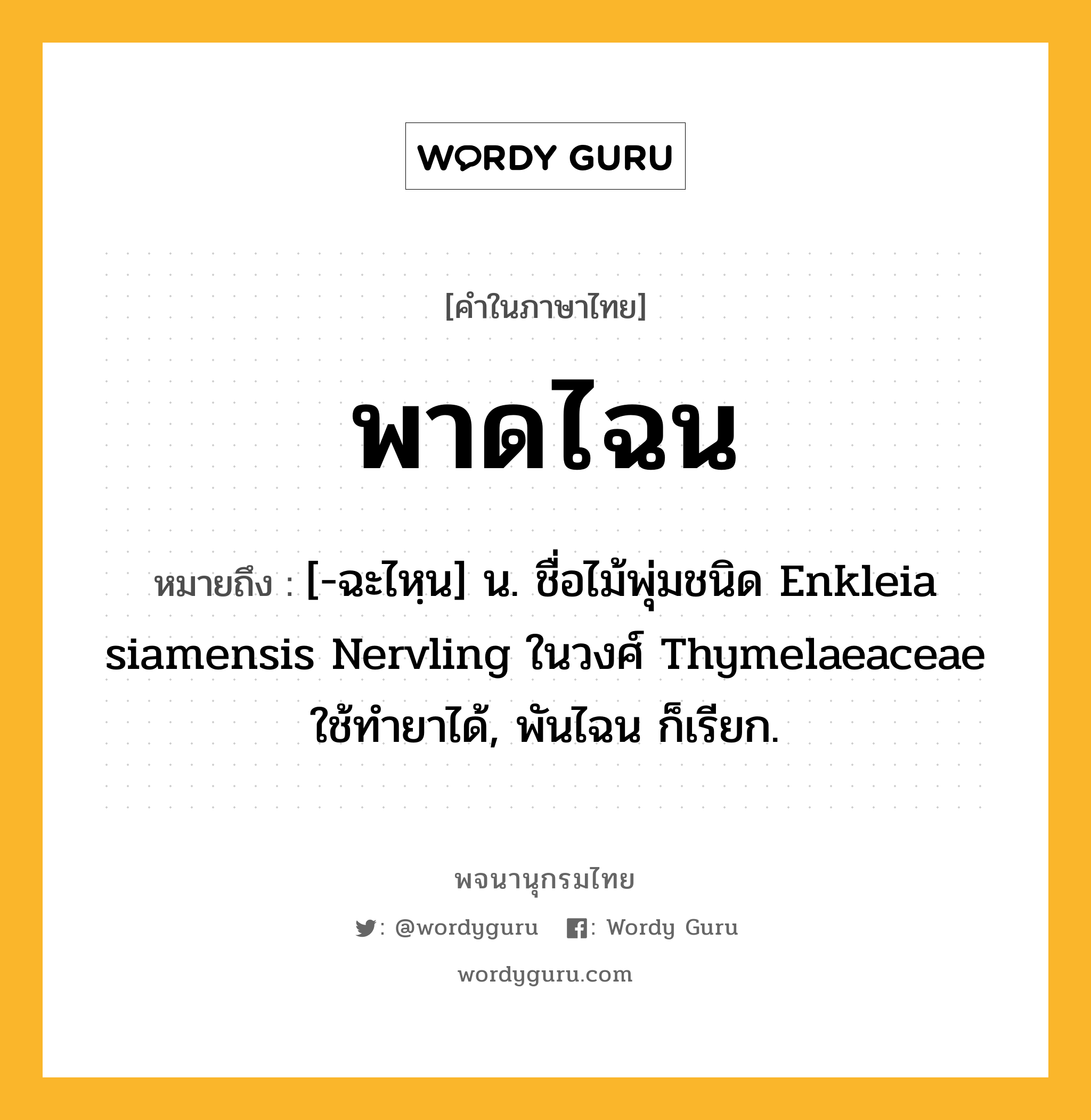 พาดไฉน หมายถึงอะไร?, คำในภาษาไทย พาดไฉน หมายถึง [-ฉะไหฺน] น. ชื่อไม้พุ่มชนิด Enkleia siamensis Nervling ในวงศ์ Thymelaeaceae ใช้ทํายาได้, พันไฉน ก็เรียก.