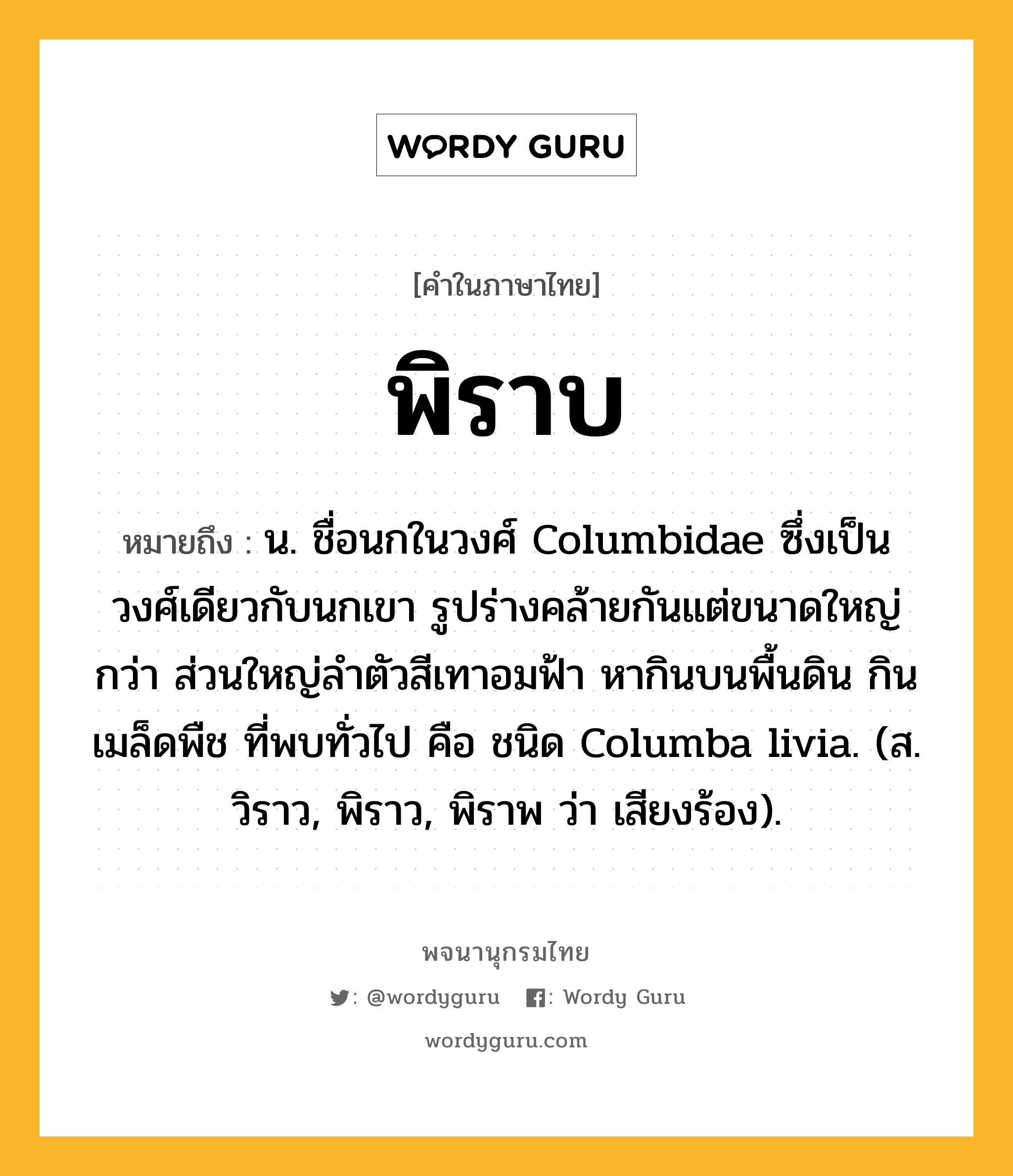 พิราบ หมายถึงอะไร?, คำในภาษาไทย พิราบ หมายถึง น. ชื่อนกในวงศ์ Columbidae ซึ่งเป็นวงศ์เดียวกับนกเขา รูปร่างคล้ายกันแต่ขนาดใหญ่กว่า ส่วนใหญ่ลําตัวสีเทาอมฟ้า หากินบนพื้นดิน กินเมล็ดพืช ที่พบทั่วไป คือ ชนิด Columba livia. (ส. วิราว, พิราว, พิราพ ว่า เสียงร้อง).