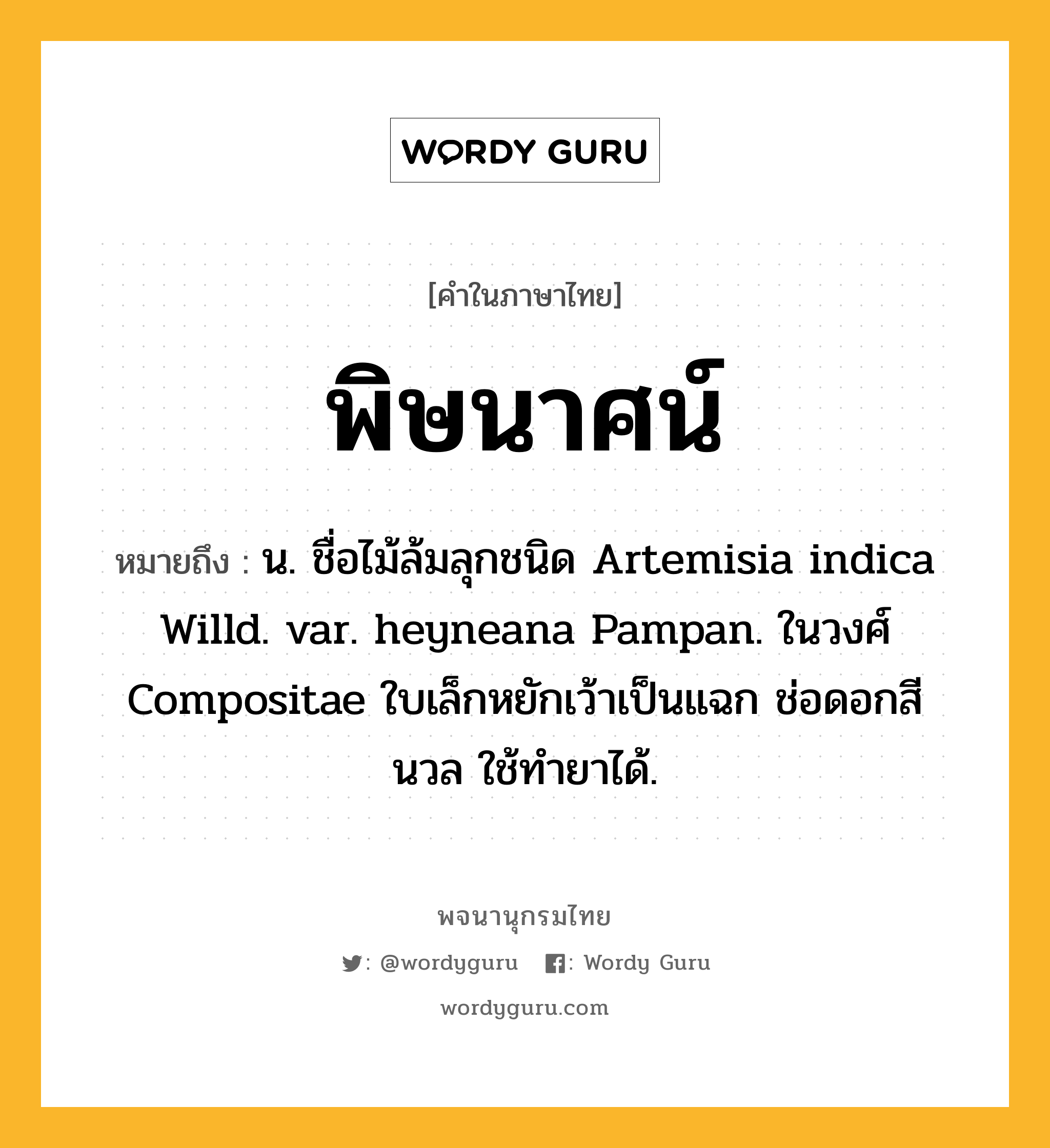 พิษนาศน์ หมายถึงอะไร?, คำในภาษาไทย พิษนาศน์ หมายถึง น. ชื่อไม้ล้มลุกชนิด Artemisia indica Willd. var. heyneana Pampan. ในวงศ์ Compositae ใบเล็กหยักเว้าเป็นแฉก ช่อดอกสีนวล ใช้ทํายาได้.