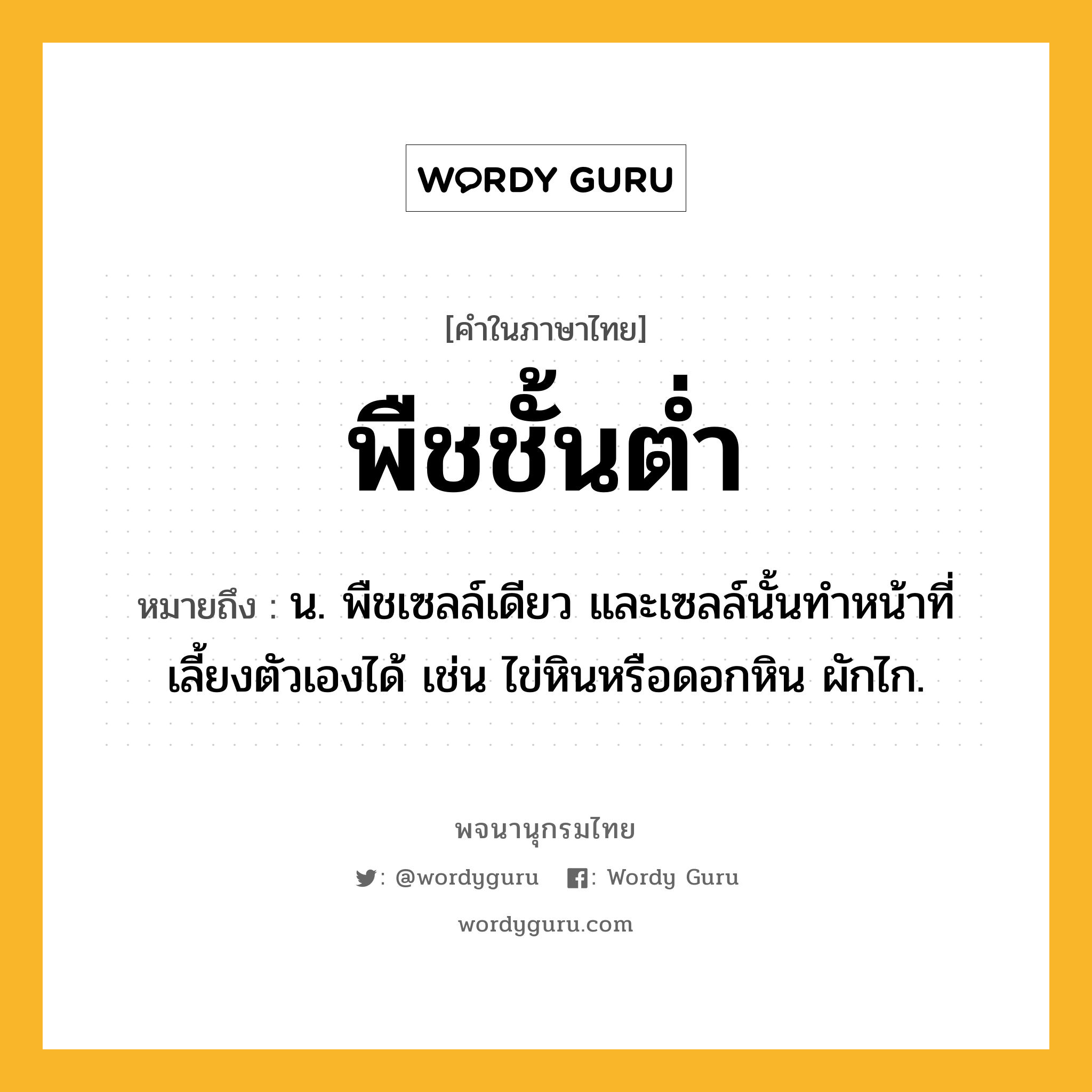 พืชชั้นต่ำ ความหมาย หมายถึงอะไร?, คำในภาษาไทย พืชชั้นต่ำ หมายถึง น. พืชเซลล์เดียว และเซลล์นั้นทําหน้าที่เลี้ยงตัวเองได้ เช่น ไข่หินหรือดอกหิน ผักไก.