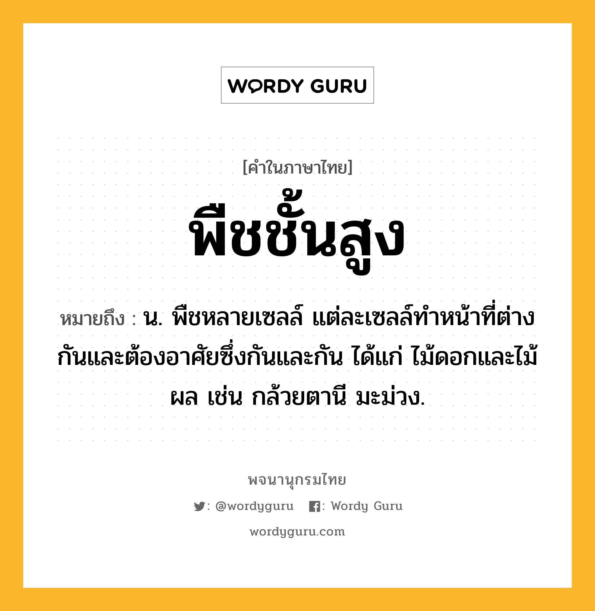 พืชชั้นสูง หมายถึงอะไร?, คำในภาษาไทย พืชชั้นสูง หมายถึง น. พืชหลายเซลล์ แต่ละเซลล์ทําหน้าที่ต่างกันและต้องอาศัยซึ่งกันและกัน ได้แก่ ไม้ดอกและไม้ผล เช่น กล้วยตานี มะม่วง.