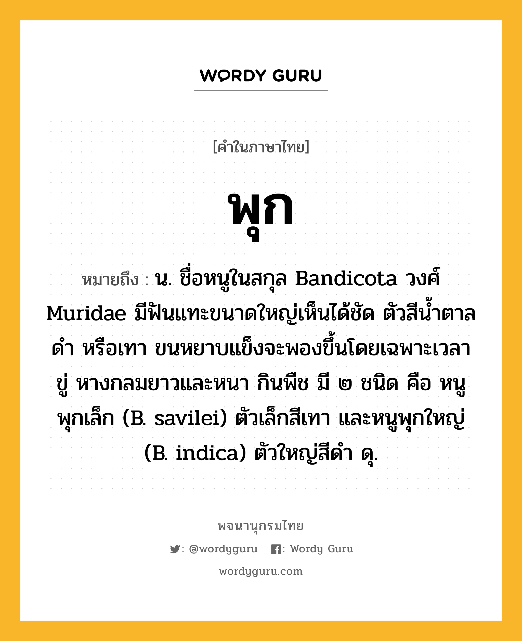 พุก ความหมาย หมายถึงอะไร?, คำในภาษาไทย พุก หมายถึง น. ชื่อหนูในสกุล Bandicota วงศ์ Muridae มีฟันแทะขนาดใหญ่เห็นได้ชัด ตัวสีนํ้าตาล ดํา หรือเทา ขนหยาบแข็งจะพองขึ้นโดยเฉพาะเวลาขู่ หางกลมยาวและหนา กินพืช มี ๒ ชนิด คือ หนูพุกเล็ก (B. savilei) ตัวเล็กสีเทา และหนูพุกใหญ่ (B. indica) ตัวใหญ่สีดํา ดุ.