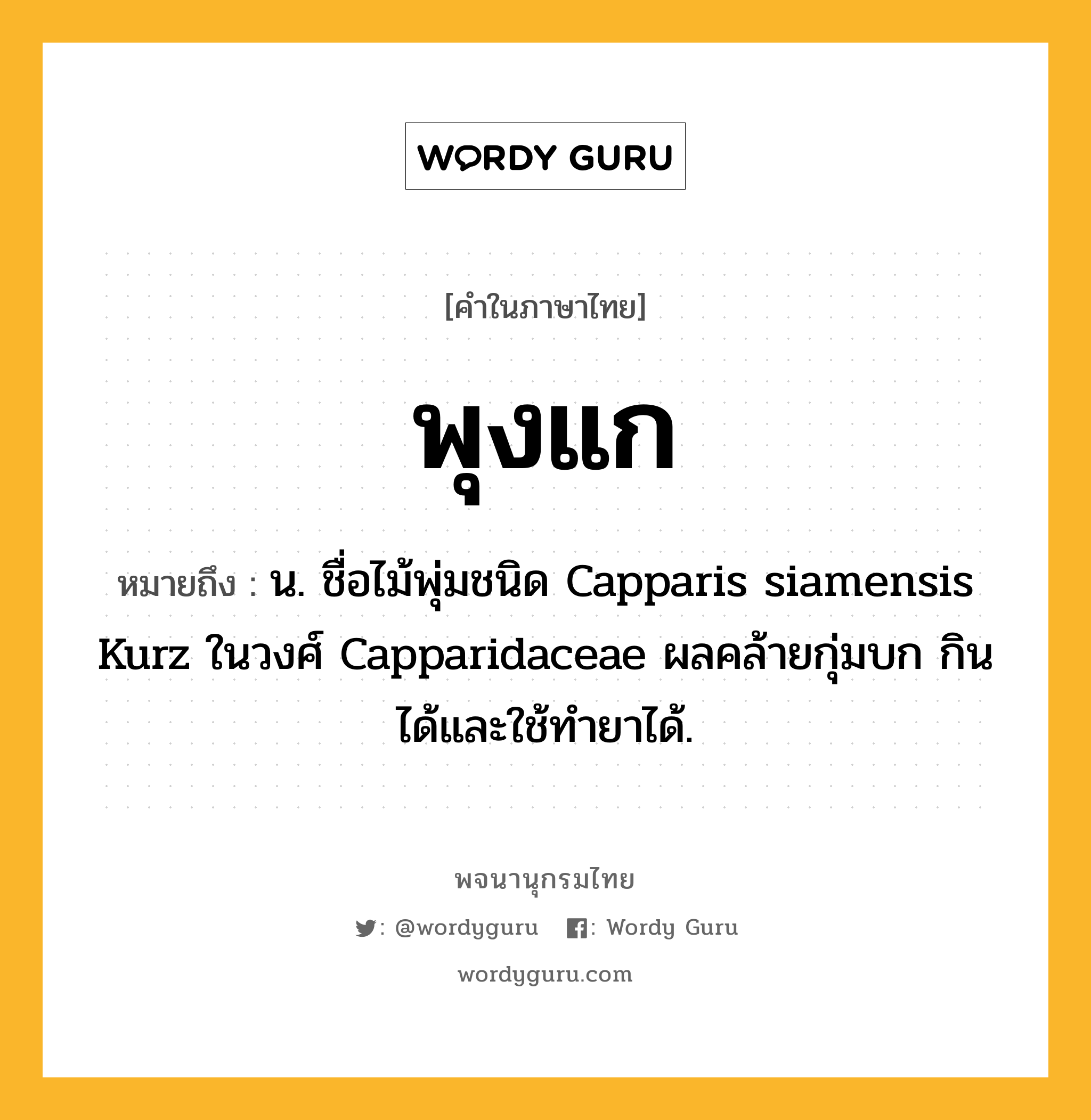 พุงแก ความหมาย หมายถึงอะไร?, คำในภาษาไทย พุงแก หมายถึง น. ชื่อไม้พุ่มชนิด Capparis siamensis Kurz ในวงศ์ Capparidaceae ผลคล้ายกุ่มบก กินได้และใช้ทํายาได้.