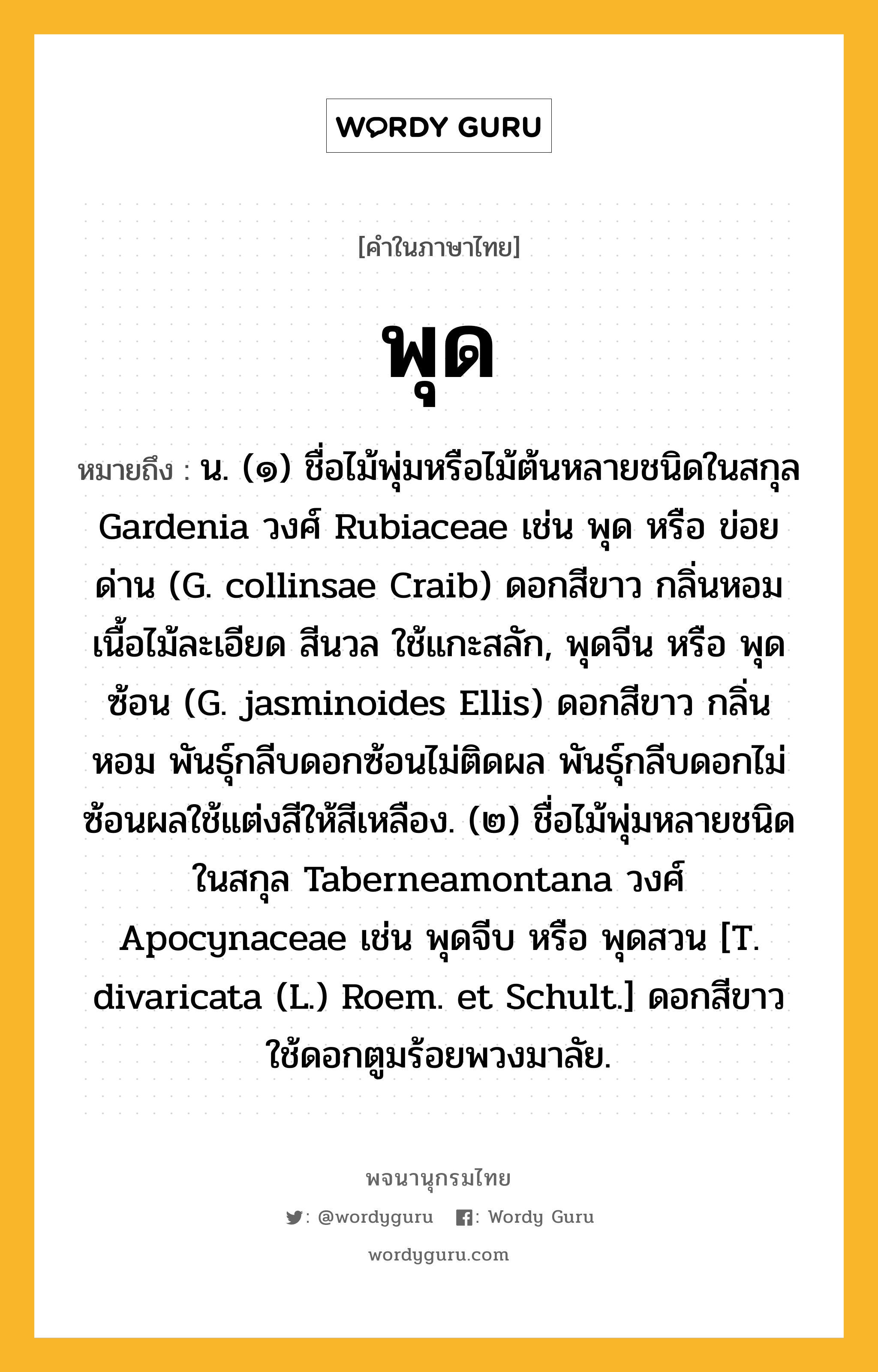 พุด หมายถึงอะไร?, คำในภาษาไทย พุด หมายถึง น. (๑) ชื่อไม้พุ่มหรือไม้ต้นหลายชนิดในสกุล Gardenia วงศ์ Rubiaceae เช่น พุด หรือ ข่อยด่าน (G. collinsae Craib) ดอกสีขาว กลิ่นหอม เนื้อไม้ละเอียด สีนวล ใช้แกะสลัก, พุดจีน หรือ พุดซ้อน (G. jasminoides Ellis) ดอกสีขาว กลิ่นหอม พันธุ์กลีบดอกซ้อนไม่ติดผล พันธุ์กลีบดอกไม่ซ้อนผลใช้แต่งสีให้สีเหลือง. (๒) ชื่อไม้พุ่มหลายชนิดในสกุล Taberneamontana วงศ์ Apocynaceae เช่น พุดจีบ หรือ พุดสวน [T. divaricata (L.) Roem. et Schult.] ดอกสีขาว ใช้ดอกตูมร้อยพวงมาลัย.