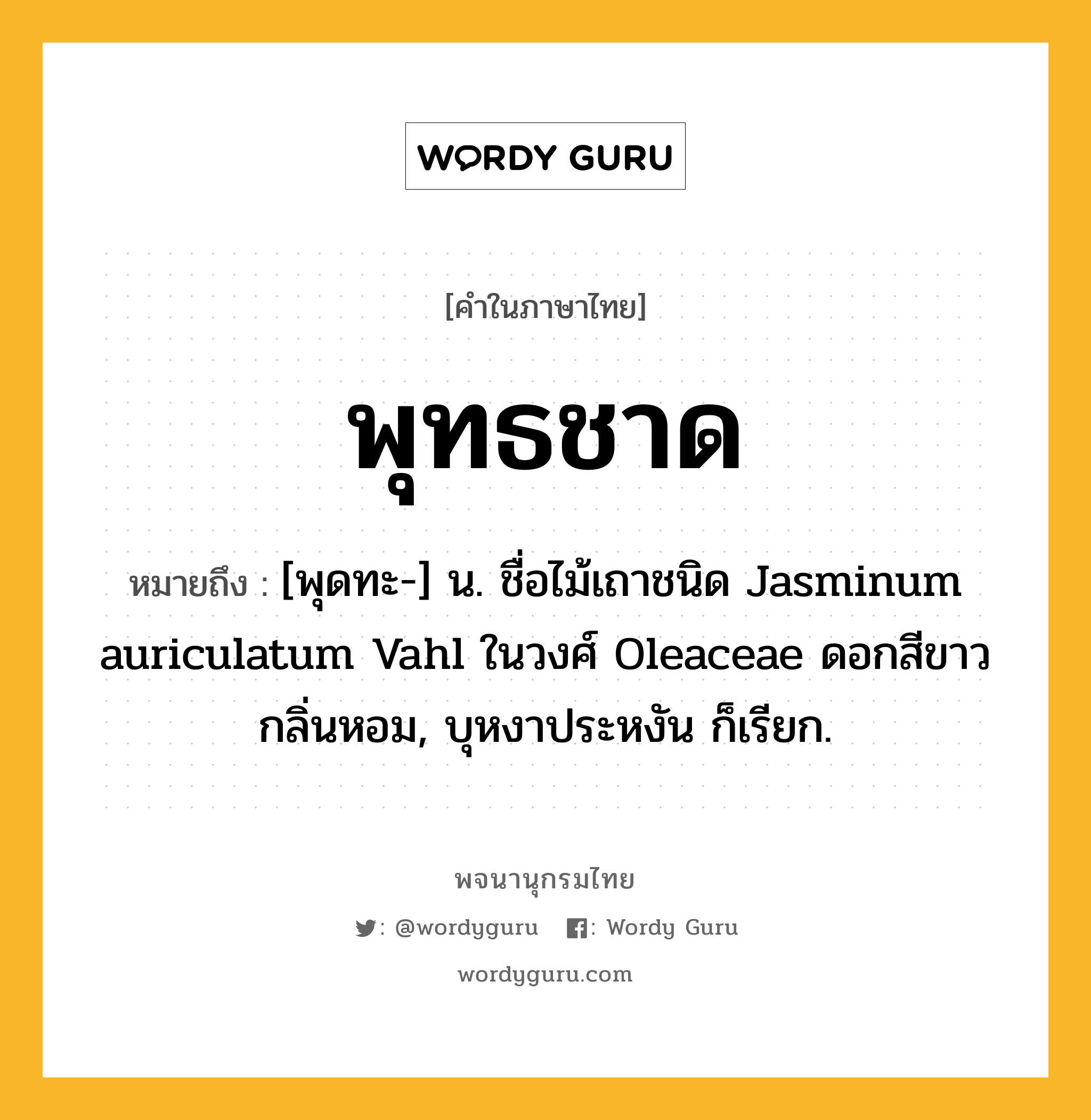 พุทธชาด หมายถึงอะไร?, คำในภาษาไทย พุทธชาด หมายถึง [พุดทะ-] น. ชื่อไม้เถาชนิด Jasminum auriculatum Vahl ในวงศ์ Oleaceae ดอกสีขาวกลิ่นหอม, บุหงาประหงัน ก็เรียก.