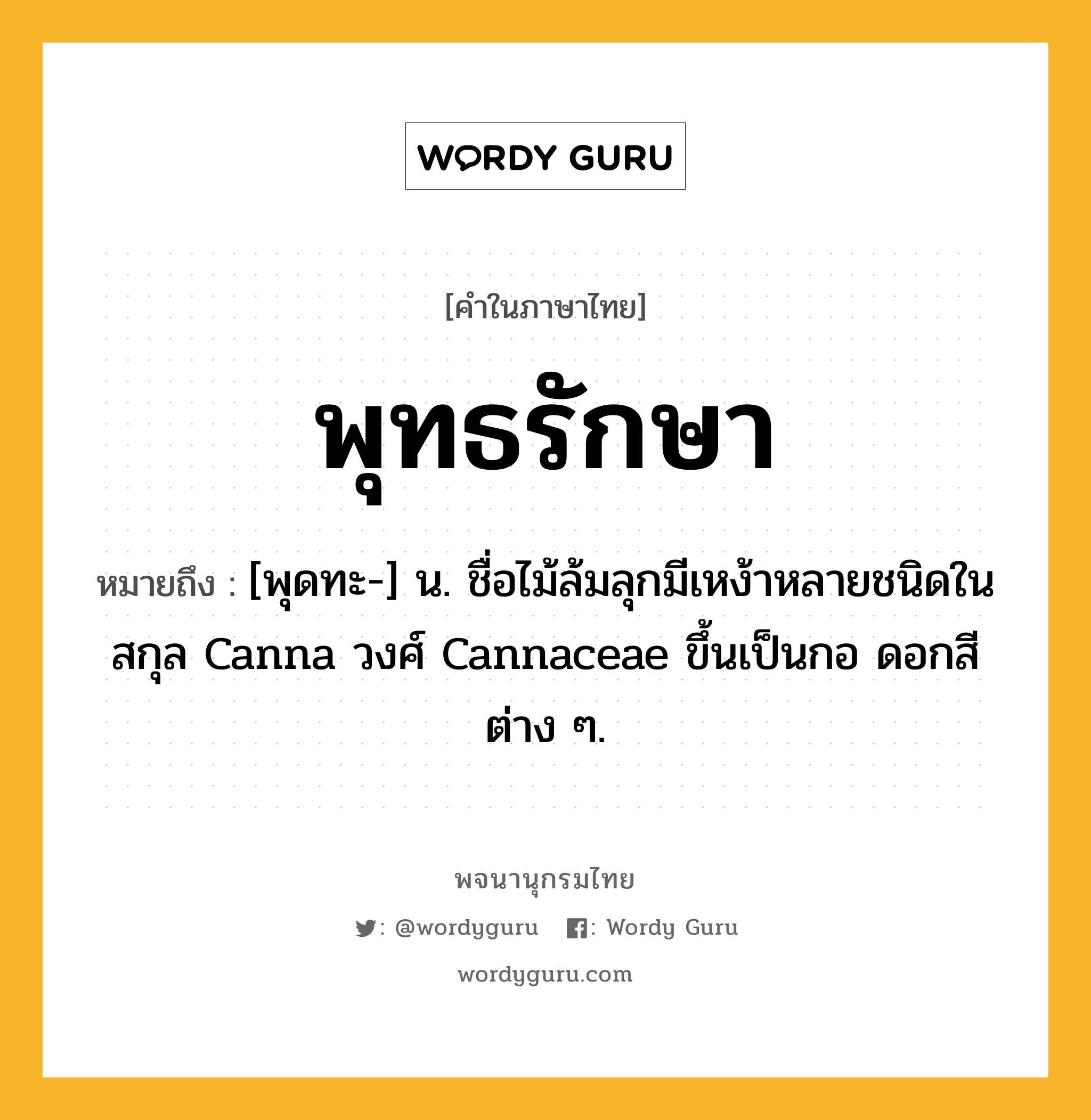 พุทธรักษา ความหมาย หมายถึงอะไร?, คำในภาษาไทย พุทธรักษา หมายถึง [พุดทะ-] น. ชื่อไม้ล้มลุกมีเหง้าหลายชนิดในสกุล Canna วงศ์ Cannaceae ขึ้นเป็นกอ ดอกสีต่าง ๆ.