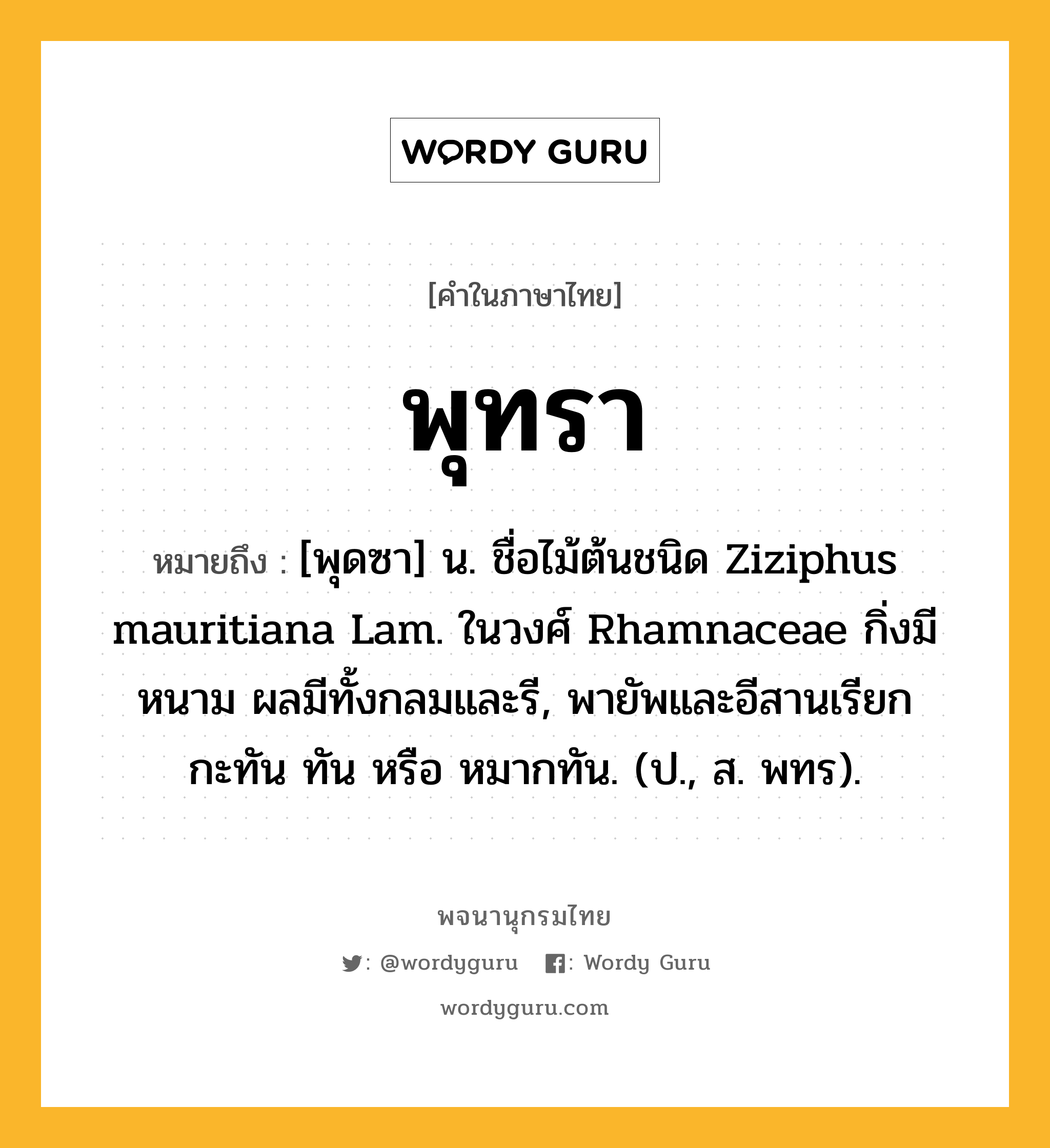 พุทรา หมายถึงอะไร?, คำในภาษาไทย พุทรา หมายถึง [พุดซา] น. ชื่อไม้ต้นชนิด Ziziphus mauritiana Lam. ในวงศ์ Rhamnaceae กิ่งมีหนาม ผลมีทั้งกลมและรี, พายัพและอีสานเรียก กะทัน ทัน หรือ หมากทัน. (ป., ส. พทร).