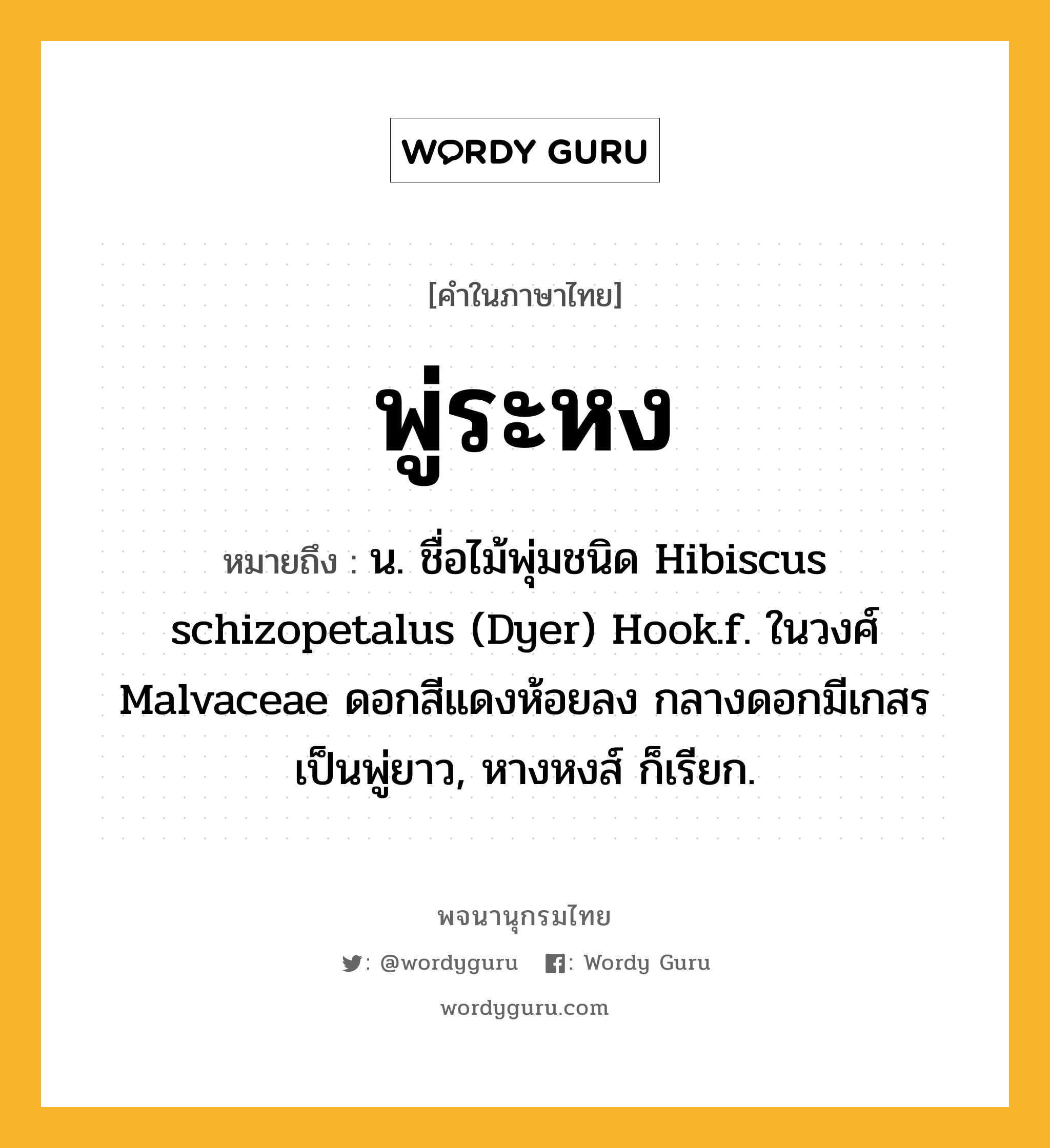 พู่ระหง ความหมาย หมายถึงอะไร?, คำในภาษาไทย พู่ระหง หมายถึง น. ชื่อไม้พุ่มชนิด Hibiscus schizopetalus (Dyer) Hook.f. ในวงศ์ Malvaceae ดอกสีแดงห้อยลง กลางดอกมีเกสรเป็นพู่ยาว, หางหงส์ ก็เรียก.