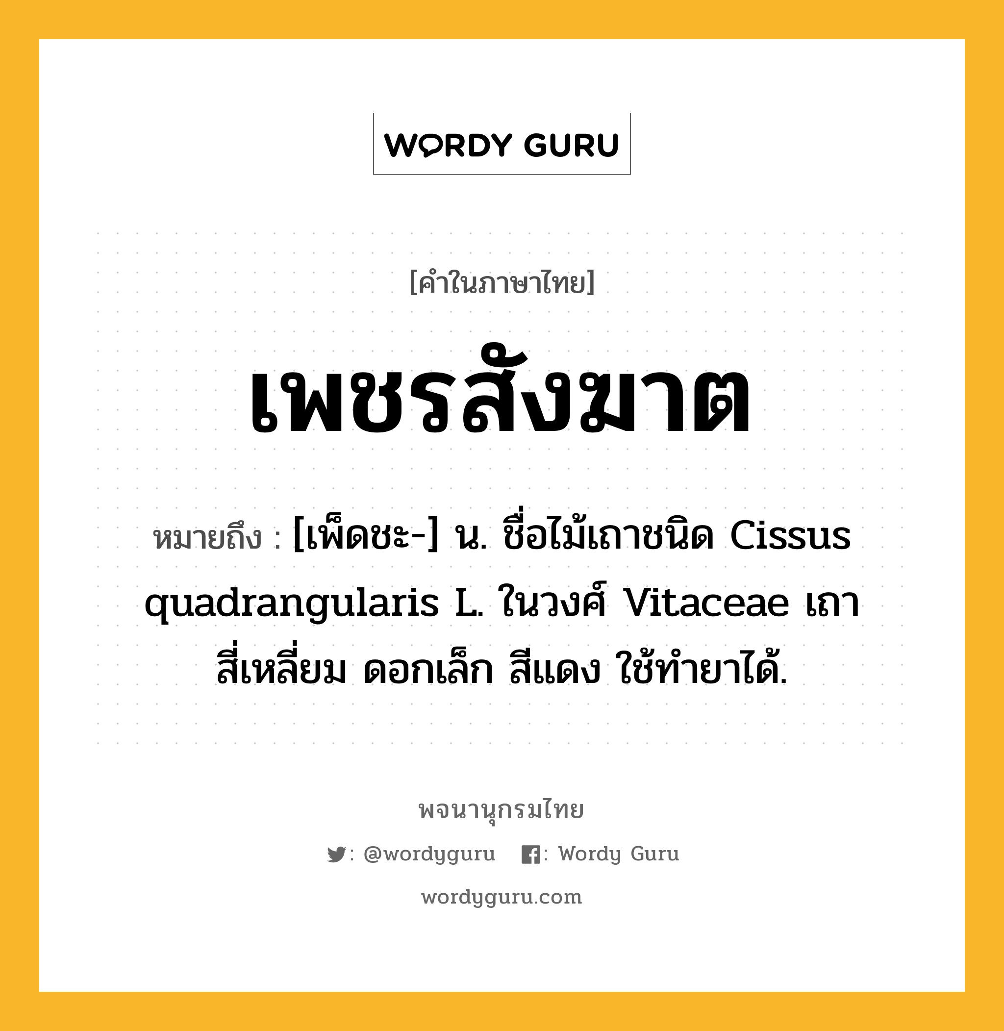 เพชรสังฆาต ความหมาย หมายถึงอะไร?, คำในภาษาไทย เพชรสังฆาต หมายถึง [เพ็ดชะ-] น. ชื่อไม้เถาชนิด Cissus quadrangularis L. ในวงศ์ Vitaceae เถาสี่เหลี่ยม ดอกเล็ก สีแดง ใช้ทํายาได้.