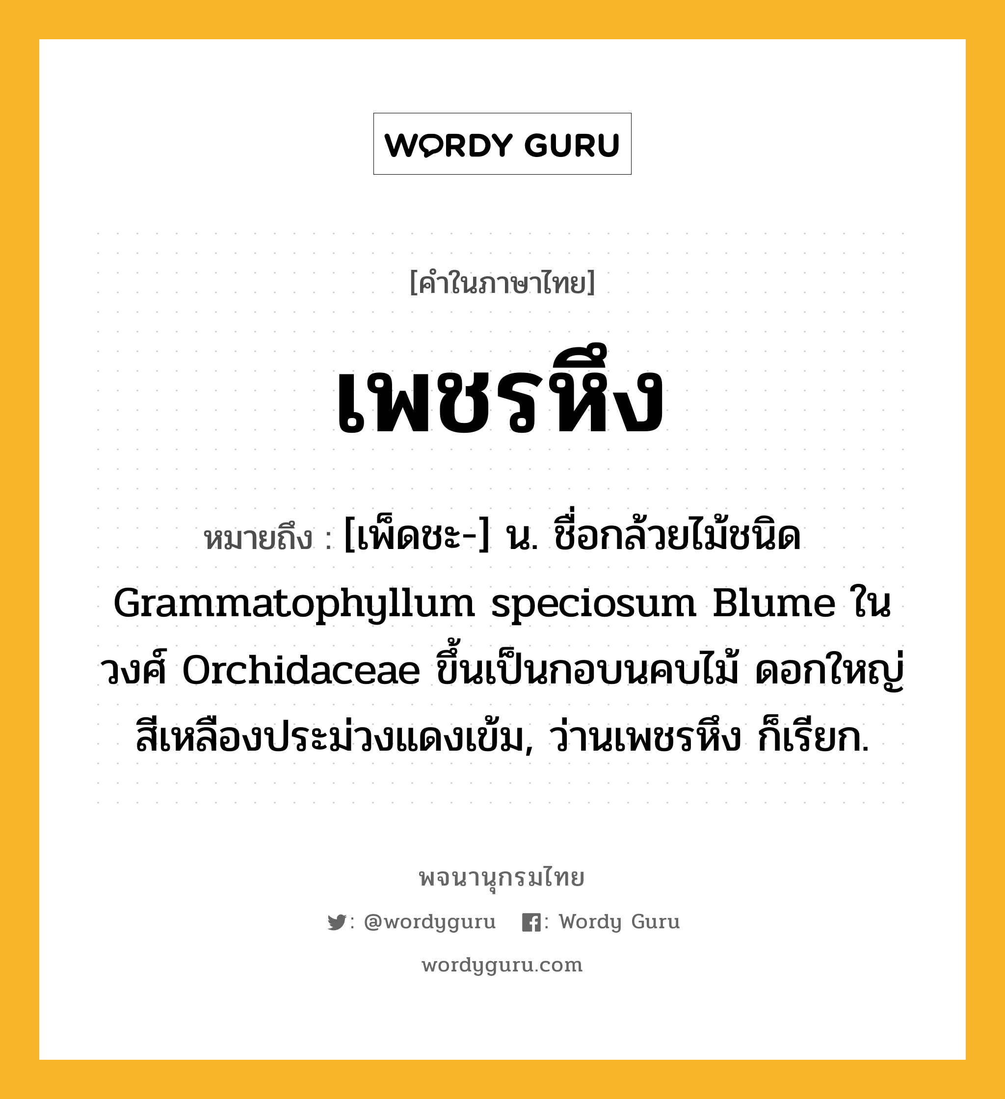 เพชรหึง หมายถึงอะไร?, คำในภาษาไทย เพชรหึง หมายถึง [เพ็ดชะ-] น. ชื่อกล้วยไม้ชนิด Grammatophyllum speciosum Blume ในวงศ์ Orchidaceae ขึ้นเป็นกอบนคบไม้ ดอกใหญ่ สีเหลืองประม่วงแดงเข้ม, ว่านเพชรหึง ก็เรียก.