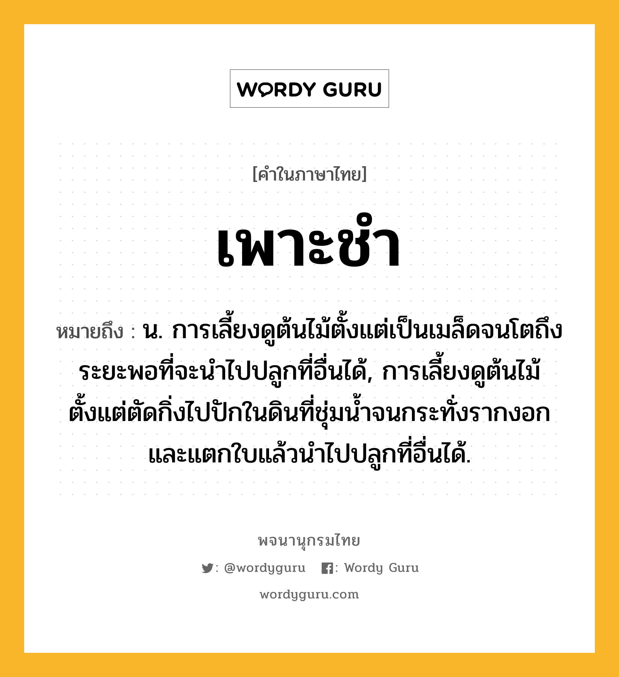 เพาะชำ หมายถึงอะไร?, คำในภาษาไทย เพาะชำ หมายถึง น. การเลี้ยงดูต้นไม้ตั้งแต่เป็นเมล็ดจนโตถึงระยะพอที่จะนำไปปลูกที่อื่นได้, การเลี้ยงดูต้นไม้ตั้งแต่ตัดกิ่งไปปักในดินที่ชุ่มน้ำจนกระทั่งรากงอกและแตกใบแล้วนำไปปลูกที่อื่นได้.