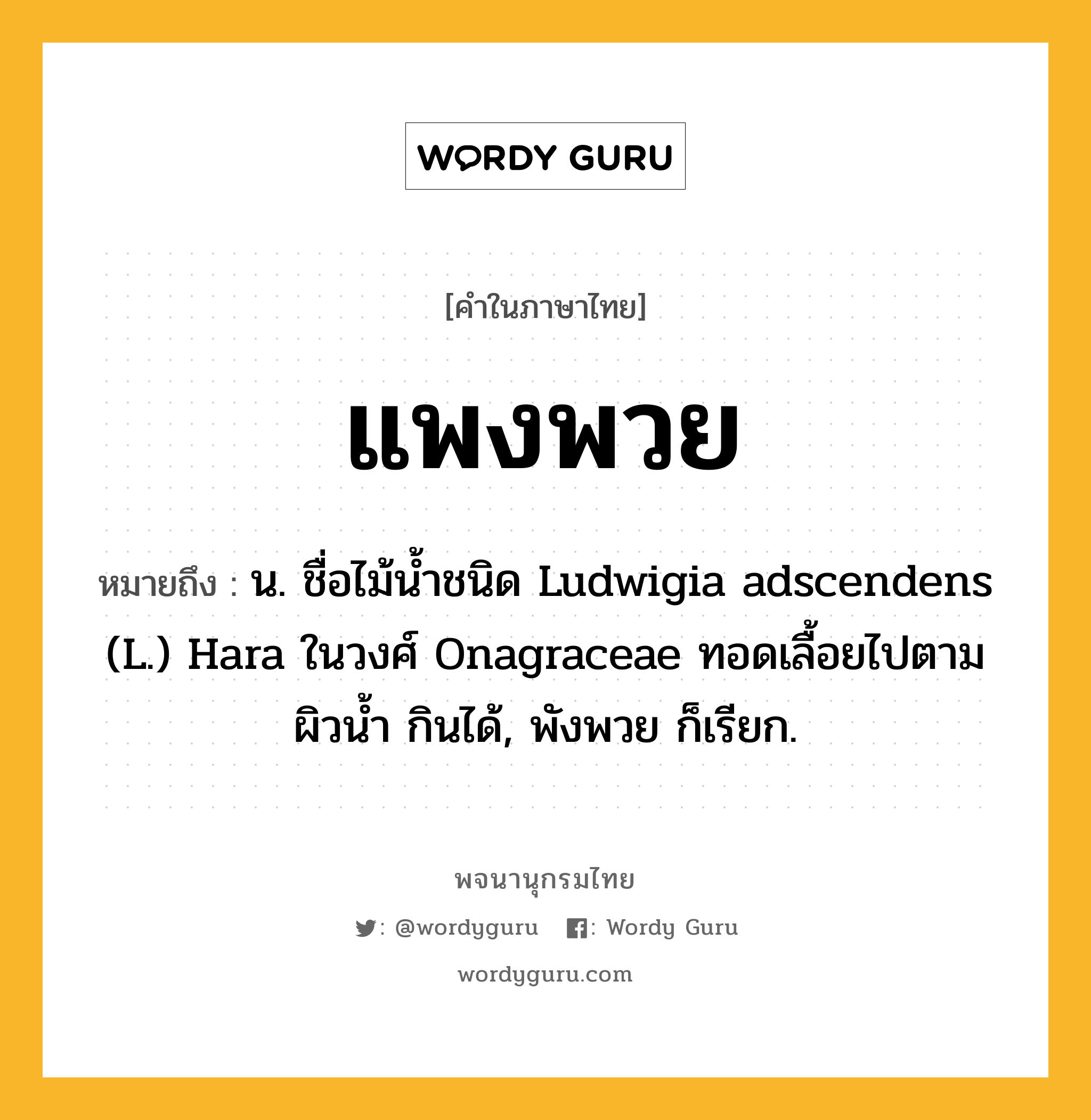 แพงพวย ความหมาย หมายถึงอะไร?, คำในภาษาไทย แพงพวย หมายถึง น. ชื่อไม้นํ้าชนิด Ludwigia adscendens (L.) Hara ในวงศ์ Onagraceae ทอดเลื้อยไปตามผิวนํ้า กินได้, พังพวย ก็เรียก.