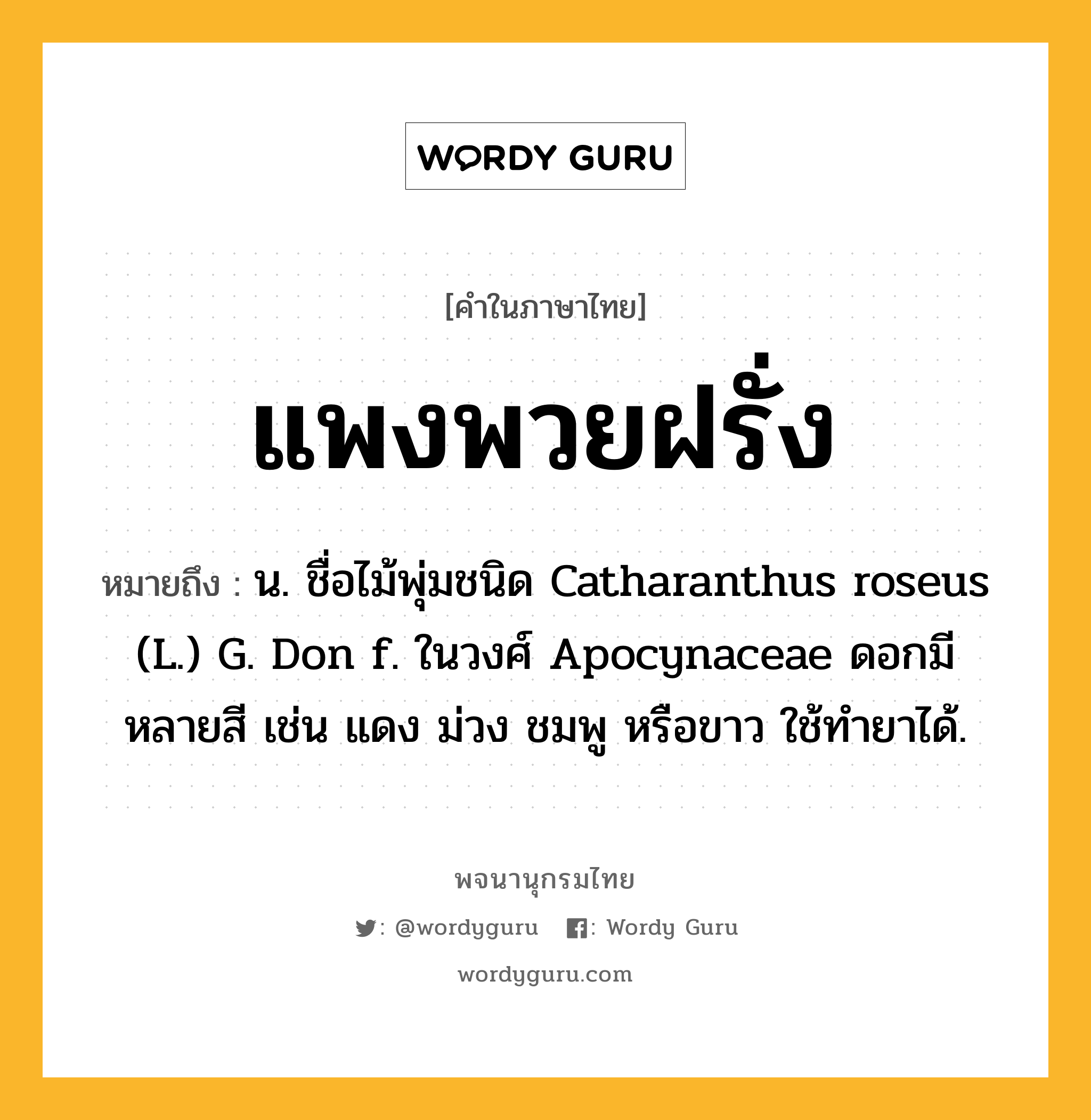 แพงพวยฝรั่ง หมายถึงอะไร?, คำในภาษาไทย แพงพวยฝรั่ง หมายถึง น. ชื่อไม้พุ่มชนิด Catharanthus roseus (L.) G. Don f. ในวงศ์ Apocynaceae ดอกมีหลายสี เช่น แดง ม่วง ชมพู หรือขาว ใช้ทํายาได้.