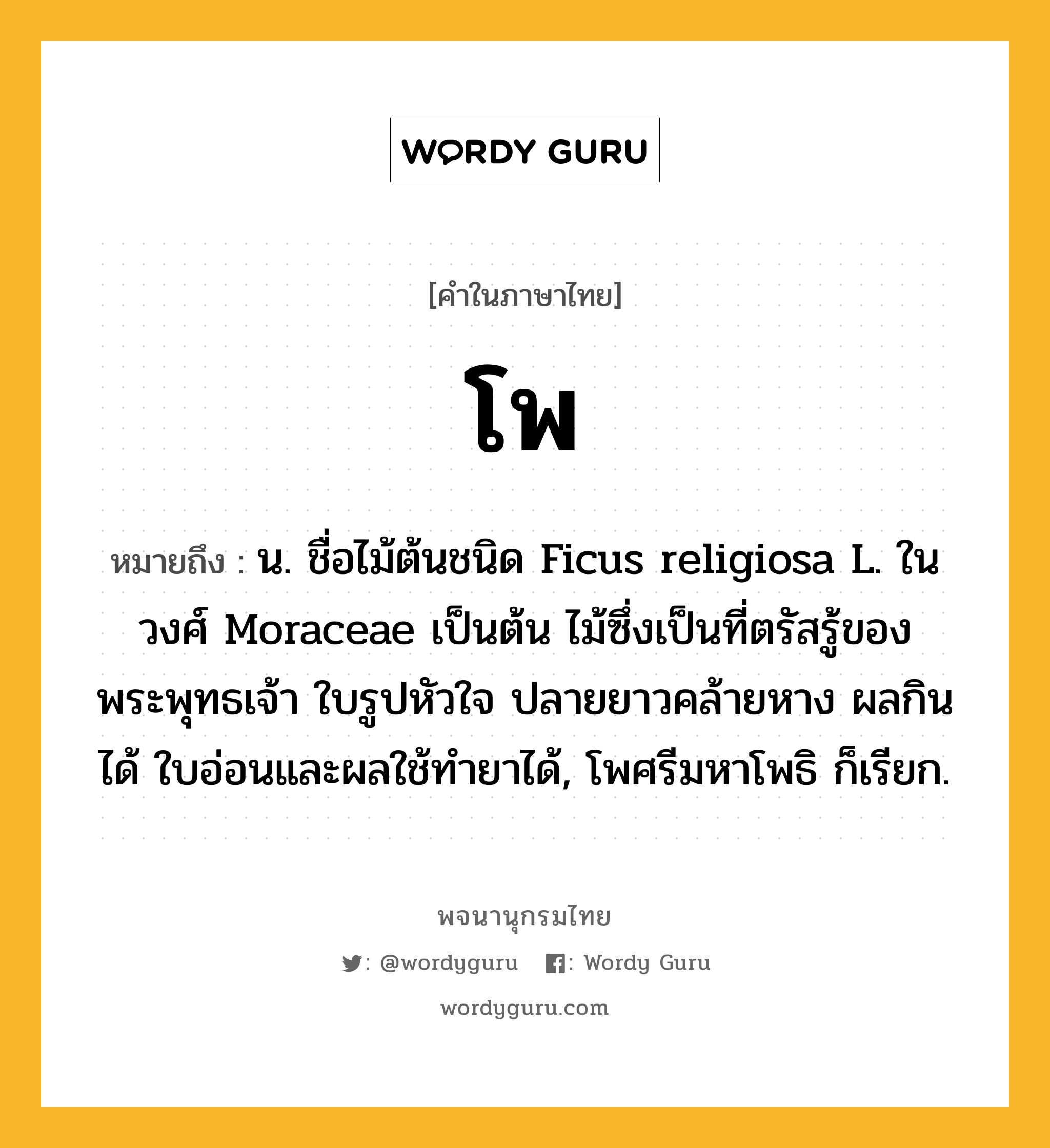 โพ หมายถึงอะไร?, คำในภาษาไทย โพ หมายถึง น. ชื่อไม้ต้นชนิด Ficus religiosa L. ในวงศ์ Moraceae เป็นต้น ไม้ซึ่งเป็นที่ตรัสรู้ของพระพุทธเจ้า ใบรูปหัวใจ ปลายยาวคล้ายหาง ผลกินได้ ใบอ่อนและผลใช้ทำยาได้, โพศรีมหาโพธิ ก็เรียก.