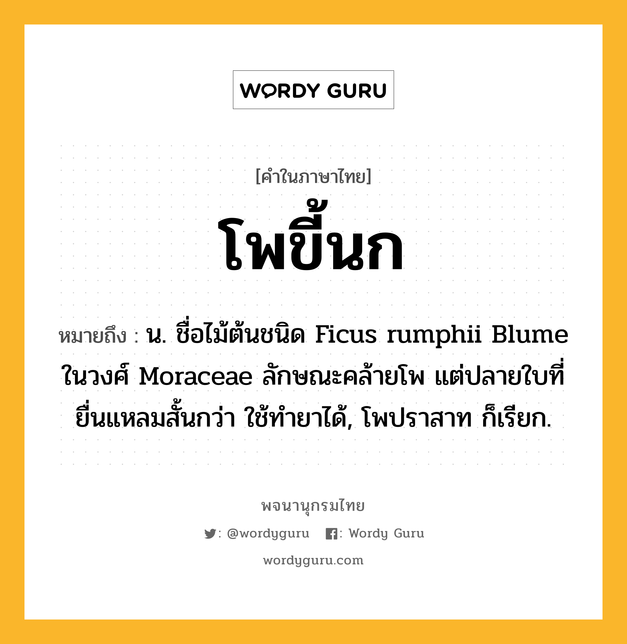 โพขี้นก หมายถึงอะไร?, คำในภาษาไทย โพขี้นก หมายถึง น. ชื่อไม้ต้นชนิด Ficus rumphii Blume ในวงศ์ Moraceae ลักษณะคล้ายโพ แต่ปลายใบที่ยื่นแหลมสั้นกว่า ใช้ทำยาได้, โพปราสาท ก็เรียก.