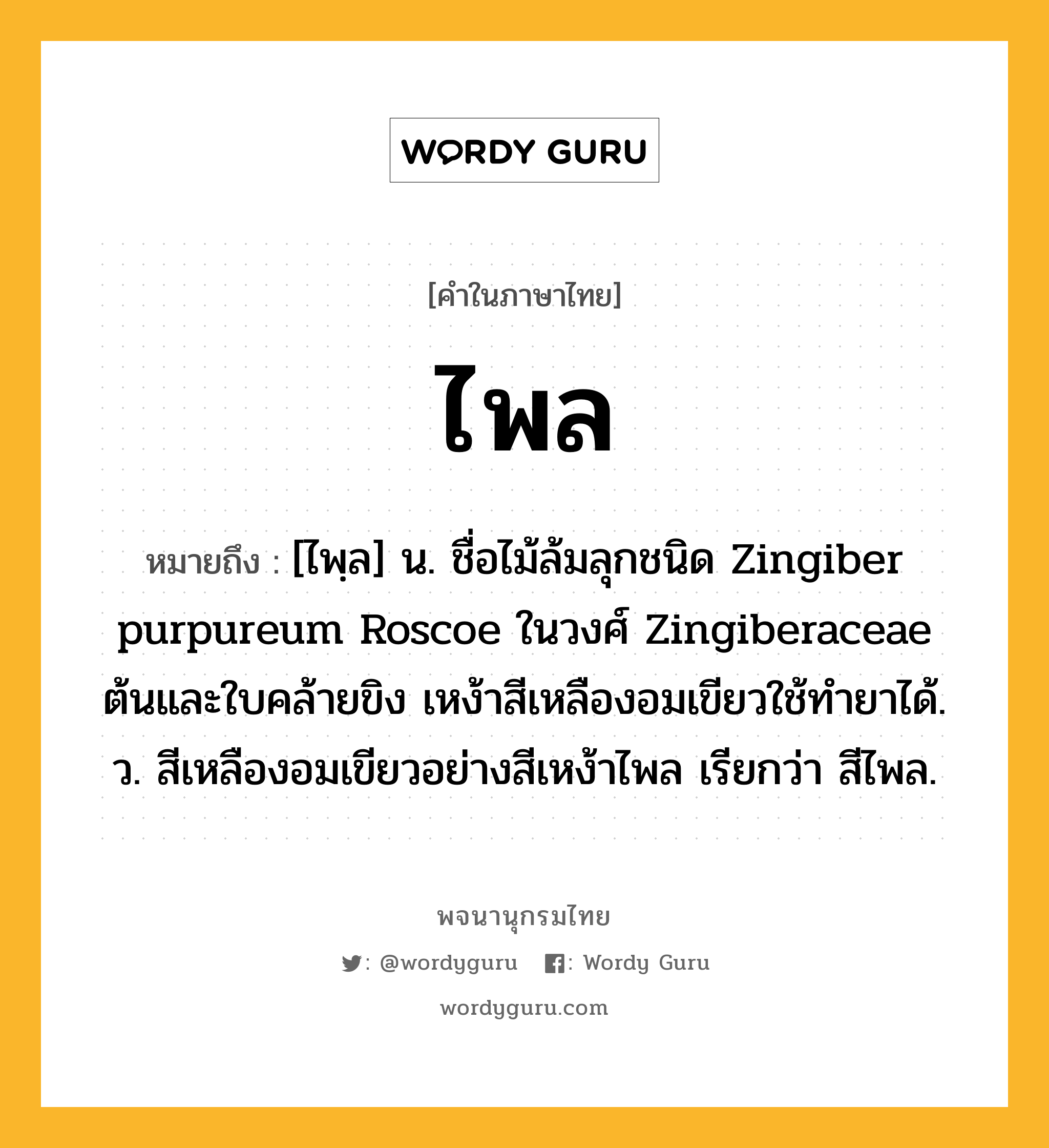 ไพล ความหมาย หมายถึงอะไร?, คำในภาษาไทย ไพล หมายถึง [ไพฺล] น. ชื่อไม้ล้มลุกชนิด Zingiber purpureum Roscoe ในวงศ์ Zingiberaceae ต้นและใบคล้ายขิง เหง้าสีเหลืองอมเขียวใช้ทํายาได้. ว. สีเหลืองอมเขียวอย่างสีเหง้าไพล เรียกว่า สีไพล.