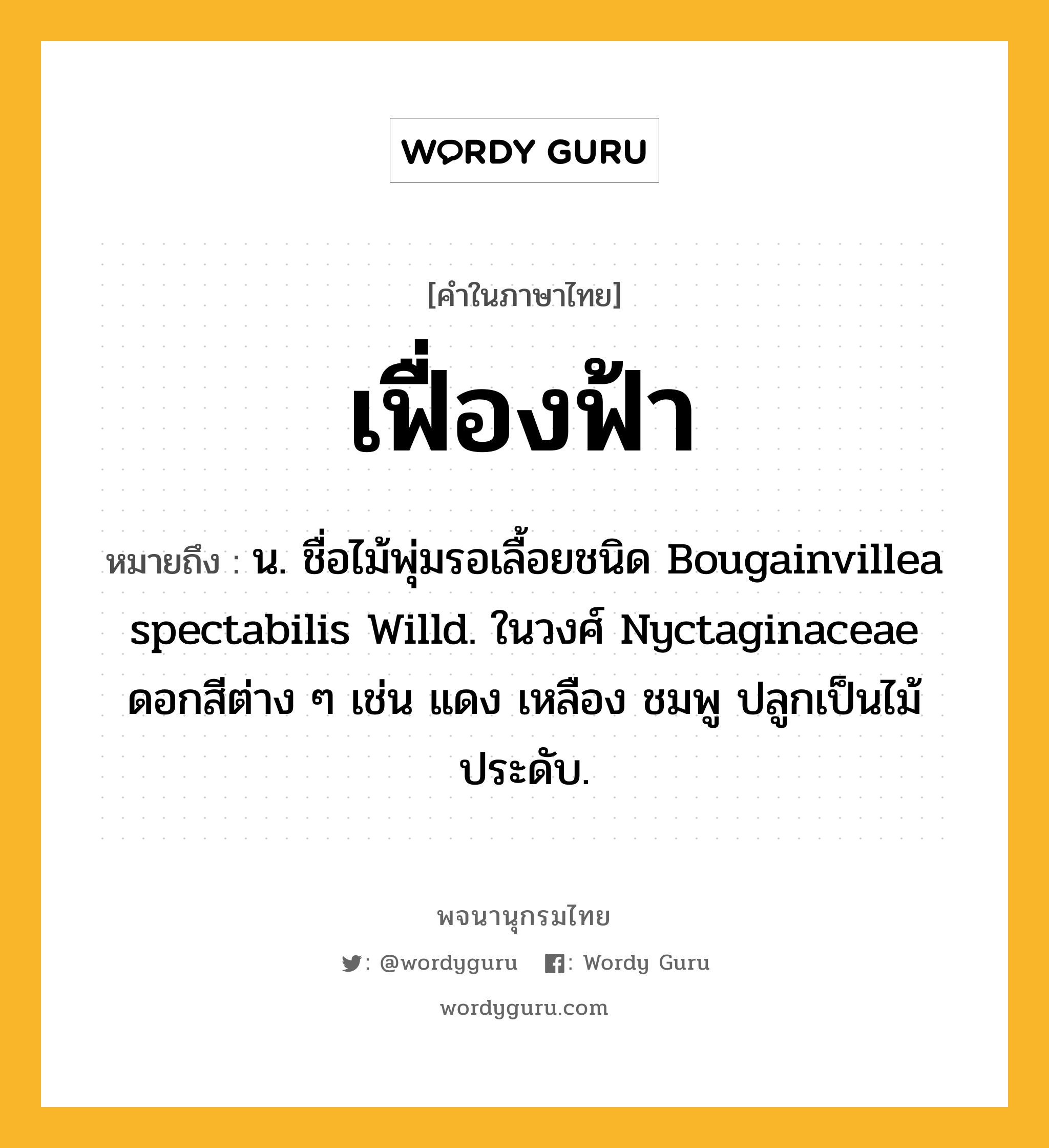 เฟื่องฟ้า หมายถึงอะไร?, คำในภาษาไทย เฟื่องฟ้า หมายถึง น. ชื่อไม้พุ่มรอเลื้อยชนิด Bougainvillea spectabilis Willd. ในวงศ์ Nyctaginaceae ดอกสีต่าง ๆ เช่น แดง เหลือง ชมพู ปลูกเป็นไม้ประดับ.