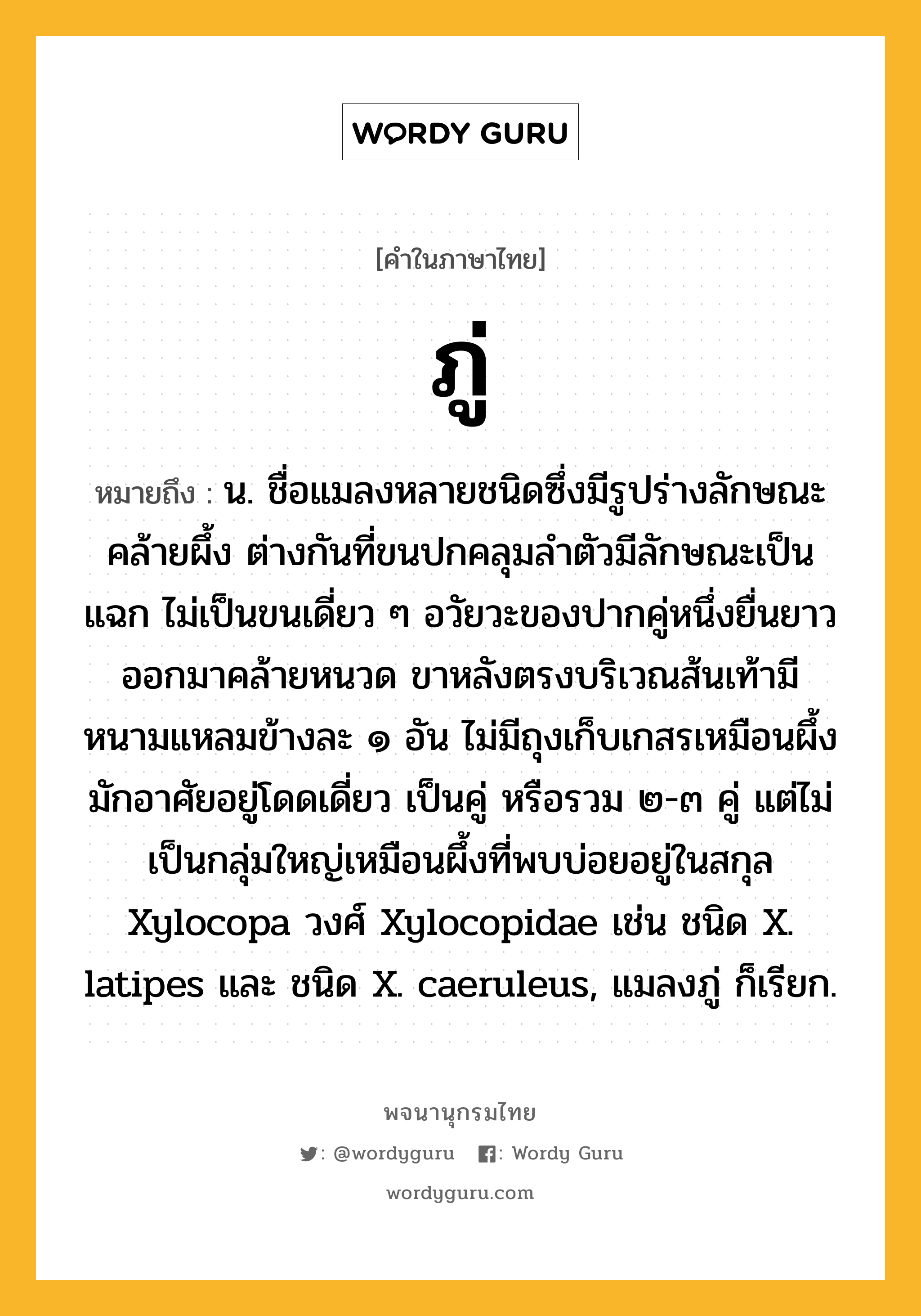 ภู่ หมายถึงอะไร?, คำในภาษาไทย ภู่ หมายถึง น. ชื่อแมลงหลายชนิดซึ่งมีรูปร่างลักษณะคล้ายผึ้ง ต่างกันที่ขนปกคลุมลําตัวมีลักษณะเป็นแฉก ไม่เป็นขนเดี่ยว ๆ อวัยวะของปากคู่หนึ่งยื่นยาวออกมาคล้ายหนวด ขาหลังตรงบริเวณส้นเท้ามีหนามแหลมข้างละ ๑ อัน ไม่มีถุงเก็บเกสรเหมือนผึ้ง มักอาศัยอยู่โดดเดี่ยว เป็นคู่ หรือรวม ๒-๓ คู่ แต่ไม่เป็นกลุ่มใหญ่เหมือนผึ้งที่พบบ่อยอยู่ในสกุล Xylocopa วงศ์ Xylocopidae เช่น ชนิด X. latipes และ ชนิด X. caeruleus, แมลงภู่ ก็เรียก.