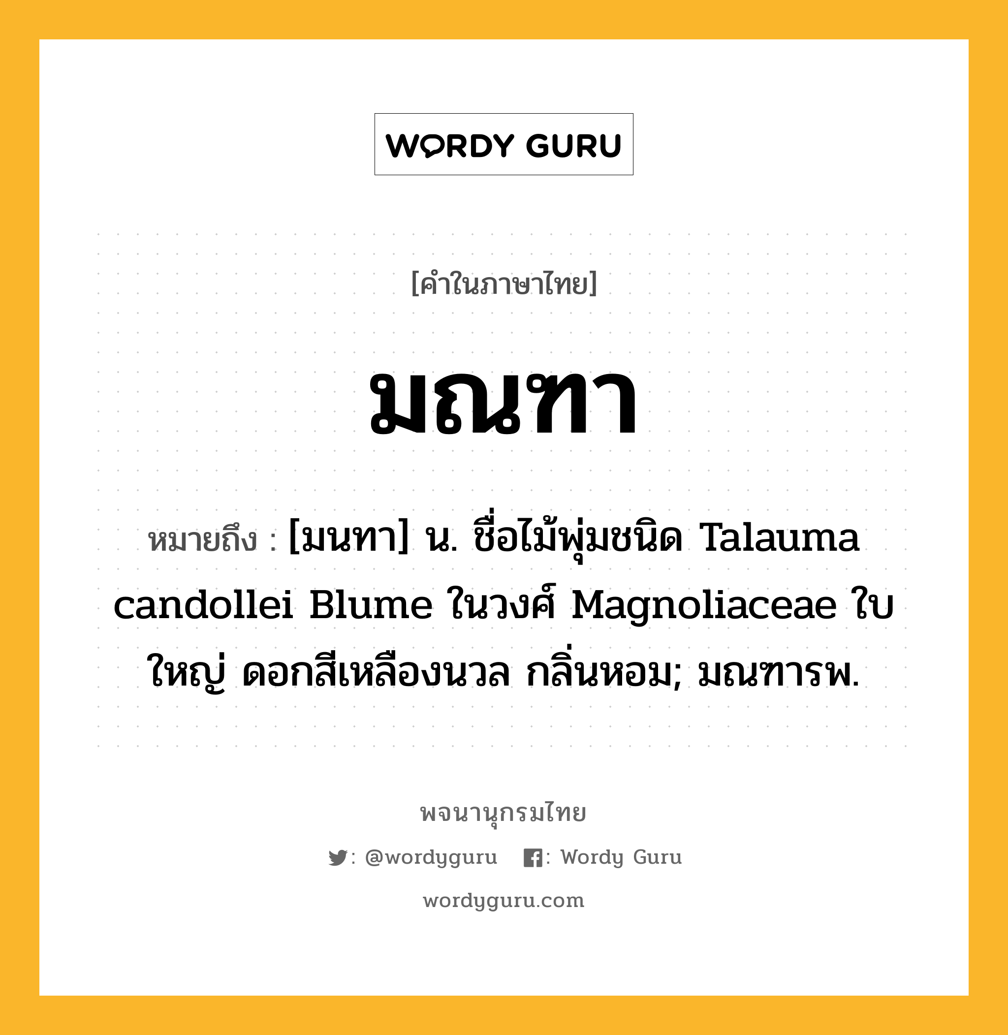 มณฑา หมายถึงอะไร?, คำในภาษาไทย มณฑา หมายถึง [มนทา] น. ชื่อไม้พุ่มชนิด Talauma candollei Blume ในวงศ์ Magnoliaceae ใบใหญ่ ดอกสีเหลืองนวล กลิ่นหอม; มณฑารพ.