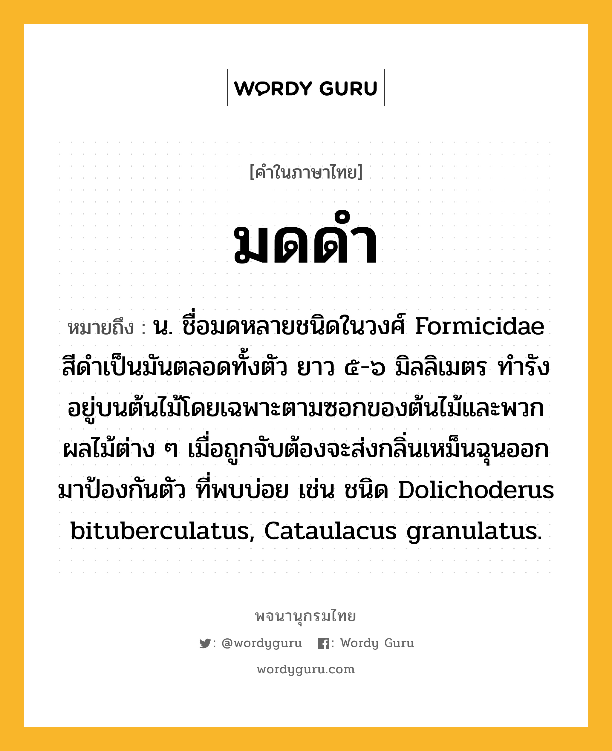 มดดำ หมายถึงอะไร?, คำในภาษาไทย มดดำ หมายถึง น. ชื่อมดหลายชนิดในวงศ์ Formicidae สีดําเป็นมันตลอดทั้งตัว ยาว ๕-๖ มิลลิเมตร ทํารังอยู่บนต้นไม้โดยเฉพาะตามซอกของต้นไม้และพวกผลไม้ต่าง ๆ เมื่อถูกจับต้องจะส่งกลิ่นเหม็นฉุนออกมาป้องกันตัว ที่พบบ่อย เช่น ชนิด Dolichoderus bituberculatus, Cataulacus granulatus.