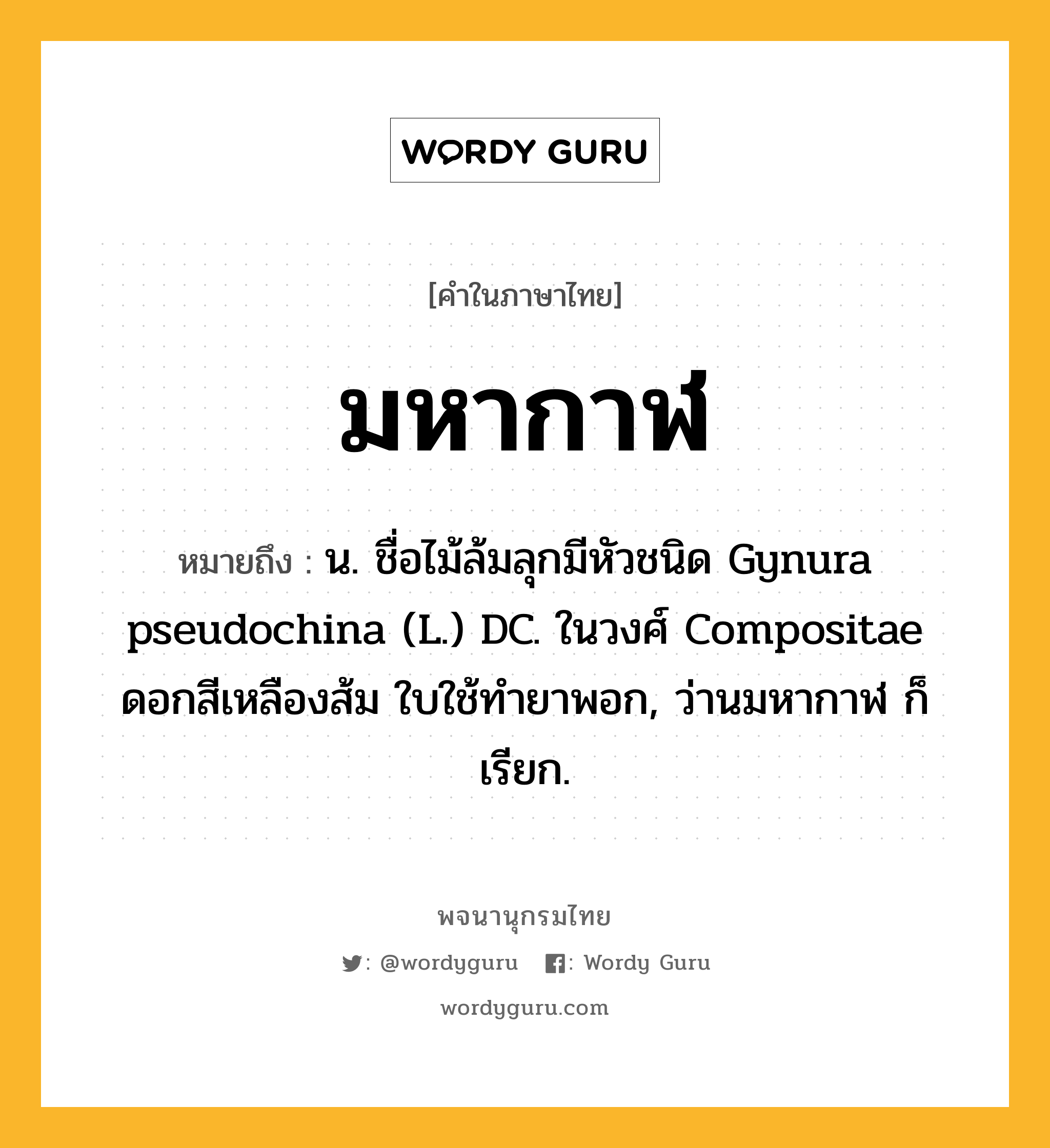 มหากาฬ หมายถึงอะไร?, คำในภาษาไทย มหากาฬ หมายถึง น. ชื่อไม้ล้มลุกมีหัวชนิด Gynura pseudochina (L.) DC. ในวงศ์ Compositae ดอกสีเหลืองส้ม ใบใช้ทํายาพอก, ว่านมหากาฬ ก็เรียก.