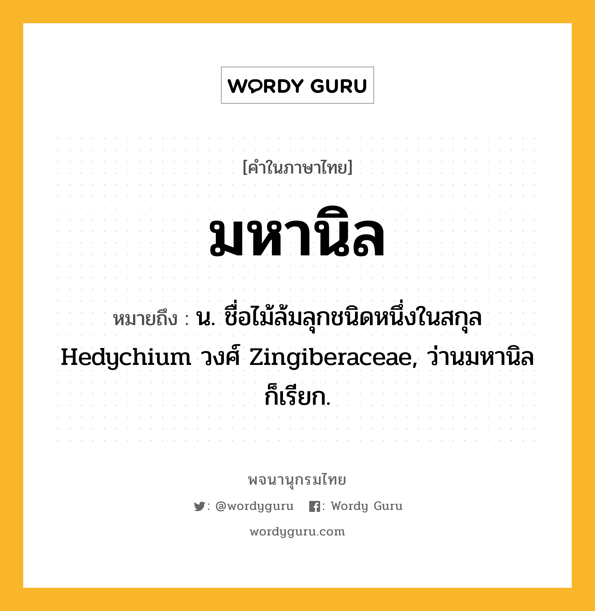 มหานิล หมายถึงอะไร?, คำในภาษาไทย มหานิล หมายถึง น. ชื่อไม้ล้มลุกชนิดหนึ่งในสกุล Hedychium วงศ์ Zingiberaceae, ว่านมหานิล ก็เรียก.