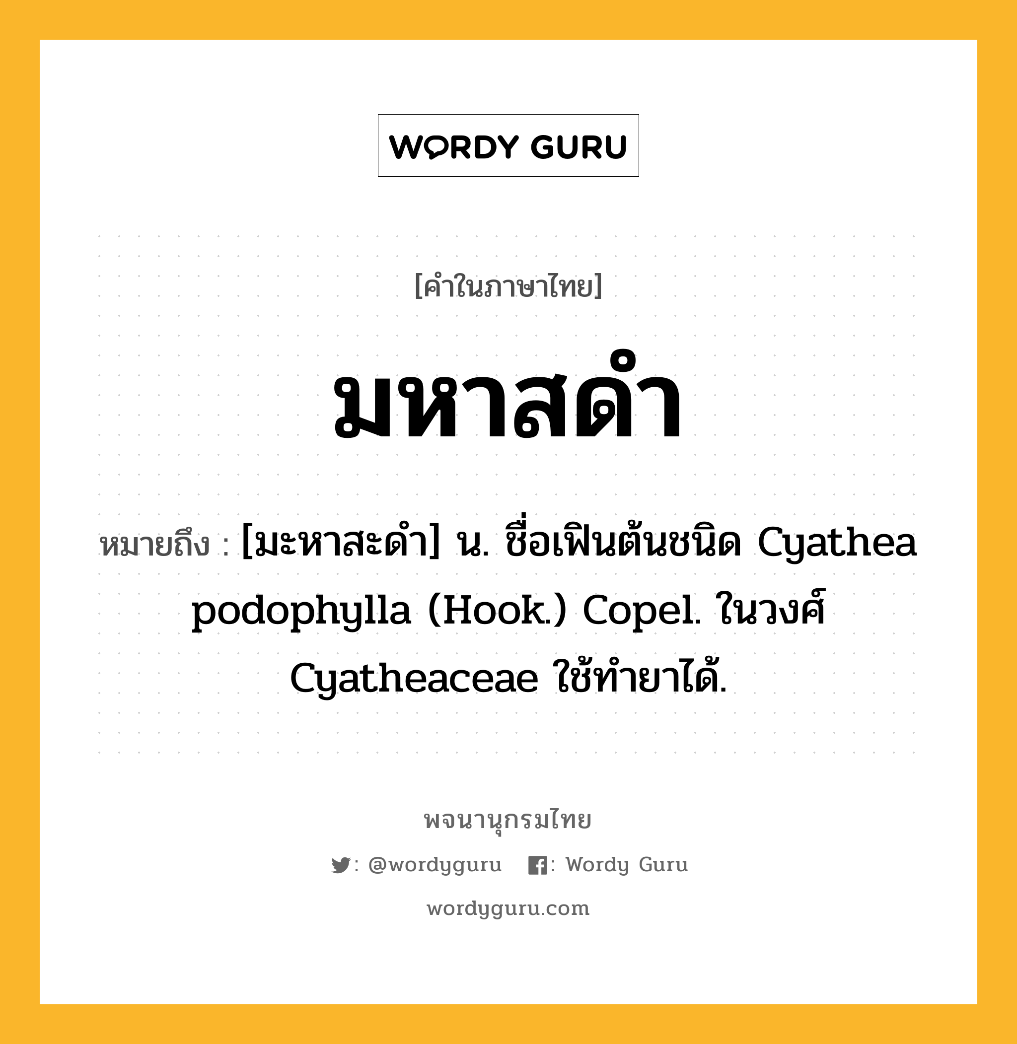 มหาสดำ ความหมาย หมายถึงอะไร?, คำในภาษาไทย มหาสดำ หมายถึง [มะหาสะดํา] น. ชื่อเฟินต้นชนิด Cyathea podophylla (Hook.) Copel. ในวงศ์ Cyatheaceae ใช้ทํายาได้.