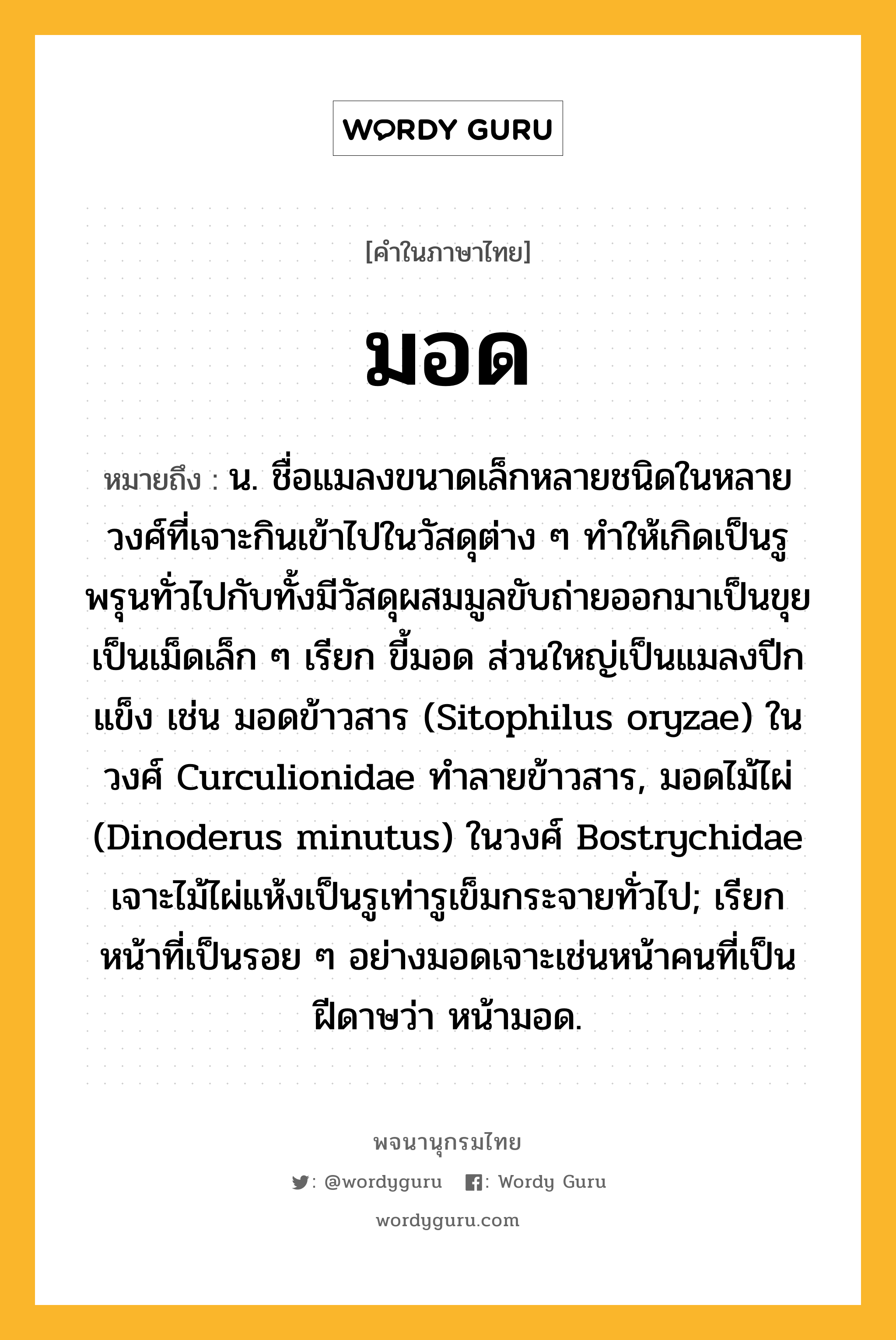 มอด หมายถึงอะไร?, คำในภาษาไทย มอด หมายถึง น. ชื่อแมลงขนาดเล็กหลายชนิดในหลายวงศ์ที่เจาะกินเข้าไปในวัสดุต่าง ๆ ทําให้เกิดเป็นรูพรุนทั่วไปกับทั้งมีวัสดุผสมมูลขับถ่ายออกมาเป็นขุยเป็นเม็ดเล็ก ๆ เรียก ขี้มอด ส่วนใหญ่เป็นแมลงปีกแข็ง เช่น มอดข้าวสาร (Sitophilus oryzae) ในวงศ์ Curculionidae ทําลายข้าวสาร, มอดไม้ไผ่ (Dinoderus minutus) ในวงศ์ Bostrychidae เจาะไม้ไผ่แห้งเป็นรูเท่ารูเข็มกระจายทั่วไป; เรียกหน้าที่เป็นรอย ๆ อย่างมอดเจาะเช่นหน้าคนที่เป็นฝีดาษว่า หน้ามอด.