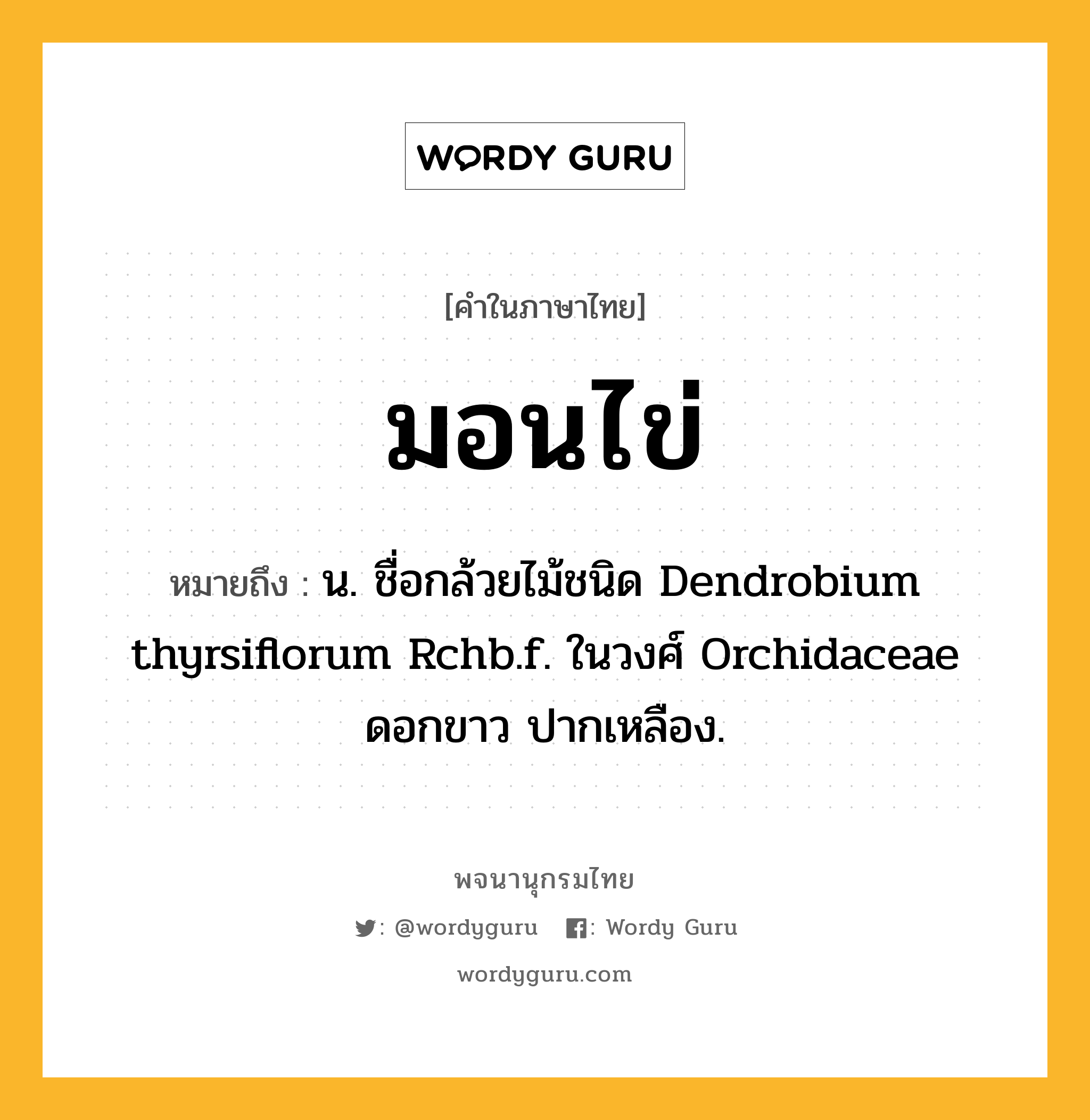 มอนไข่ หมายถึงอะไร?, คำในภาษาไทย มอนไข่ หมายถึง น. ชื่อกล้วยไม้ชนิด Dendrobium thyrsiflorum Rchb.f. ในวงศ์ Orchidaceae ดอกขาว ปากเหลือง.