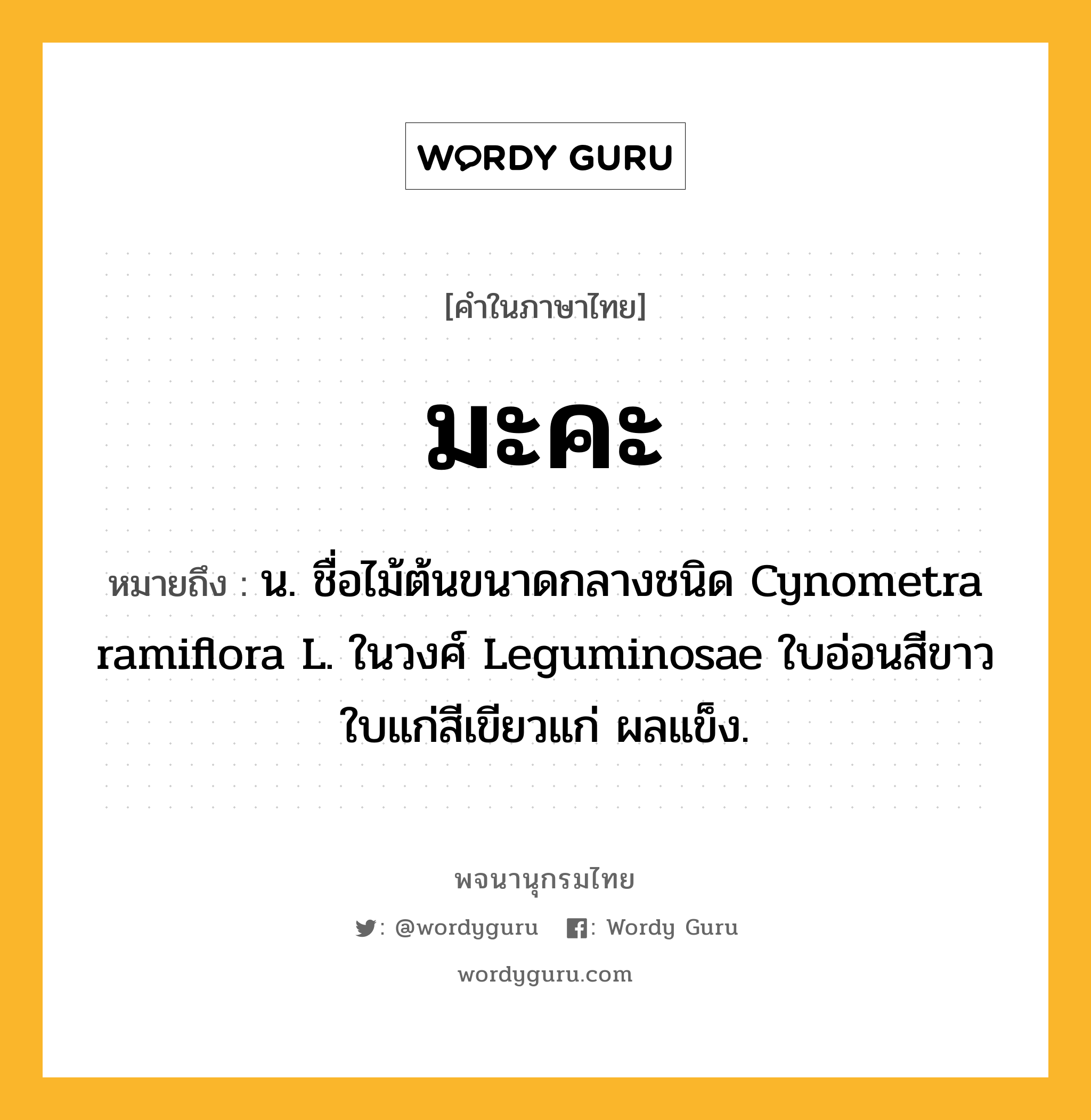 มะคะ หมายถึงอะไร?, คำในภาษาไทย มะคะ หมายถึง น. ชื่อไม้ต้นขนาดกลางชนิด Cynometra ramiflora L. ในวงศ์ Leguminosae ใบอ่อนสีขาว ใบแก่สีเขียวแก่ ผลแข็ง.