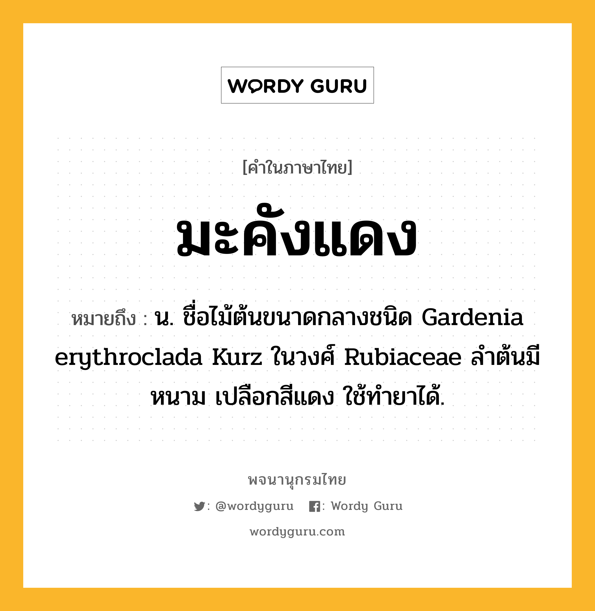 มะคังแดง หมายถึงอะไร?, คำในภาษาไทย มะคังแดง หมายถึง น. ชื่อไม้ต้นขนาดกลางชนิด Gardenia erythroclada Kurz ในวงศ์ Rubiaceae ลําต้นมีหนาม เปลือกสีแดง ใช้ทํายาได้.