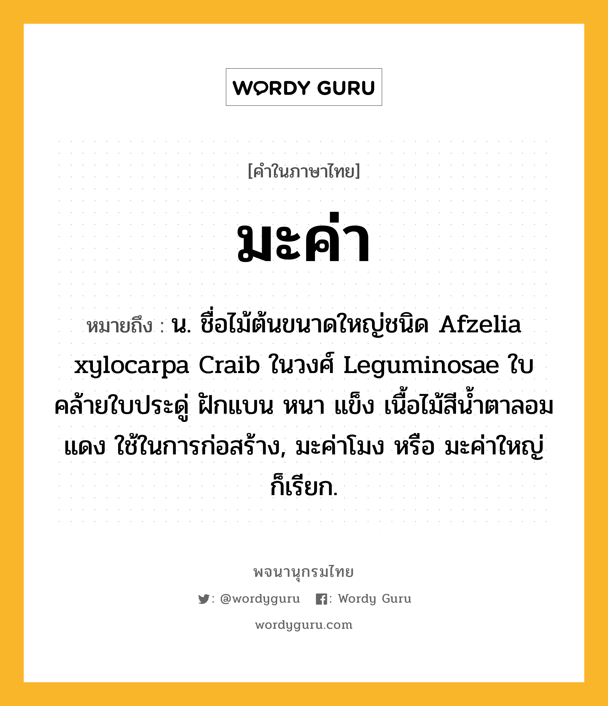 มะค่า หมายถึงอะไร?, คำในภาษาไทย มะค่า หมายถึง น. ชื่อไม้ต้นขนาดใหญ่ชนิด Afzelia xylocarpa Craib ในวงศ์ Leguminosae ใบคล้ายใบประดู่ ฝักแบน หนา แข็ง เนื้อไม้สีนํ้าตาลอมแดง ใช้ในการก่อสร้าง, มะค่าโมง หรือ มะค่าใหญ่ ก็เรียก.