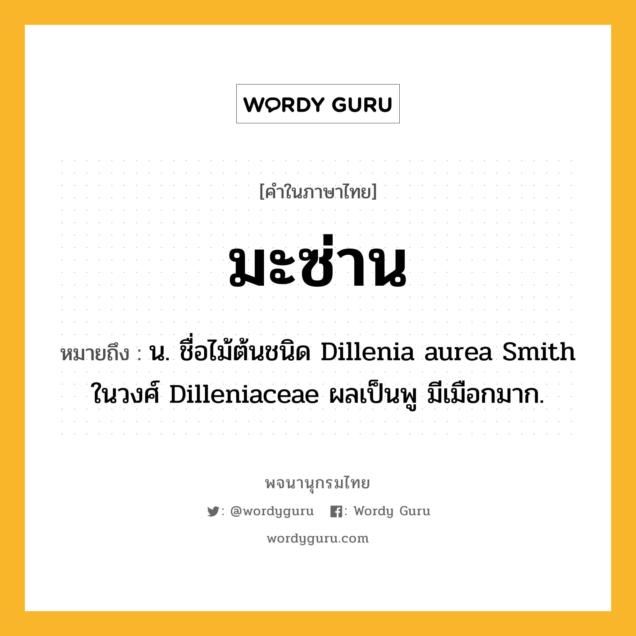 มะซ่าน หมายถึงอะไร?, คำในภาษาไทย มะซ่าน หมายถึง น. ชื่อไม้ต้นชนิด Dillenia aurea Smith ในวงศ์ Dilleniaceae ผลเป็นพู มีเมือกมาก.