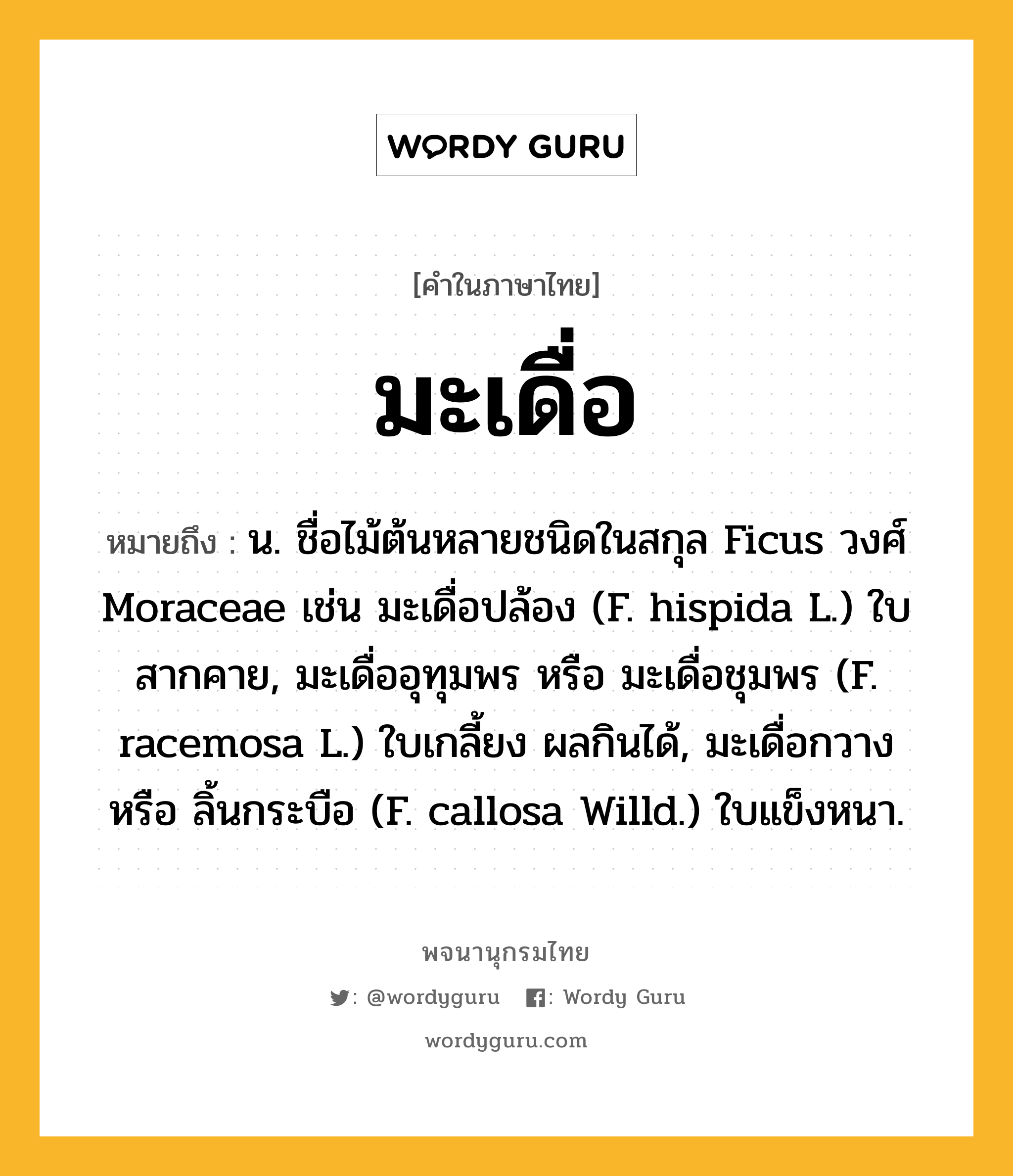 มะเดื่อ หมายถึงอะไร?, คำในภาษาไทย มะเดื่อ หมายถึง น. ชื่อไม้ต้นหลายชนิดในสกุล Ficus วงศ์ Moraceae เช่น มะเดื่อปล้อง (F. hispida L.) ใบสากคาย, มะเดื่ออุทุมพร หรือ มะเดื่อชุมพร (F. racemosa L.) ใบเกลี้ยง ผลกินได้, มะเดื่อกวาง หรือ ลิ้นกระบือ (F. callosa Willd.) ใบแข็งหนา.