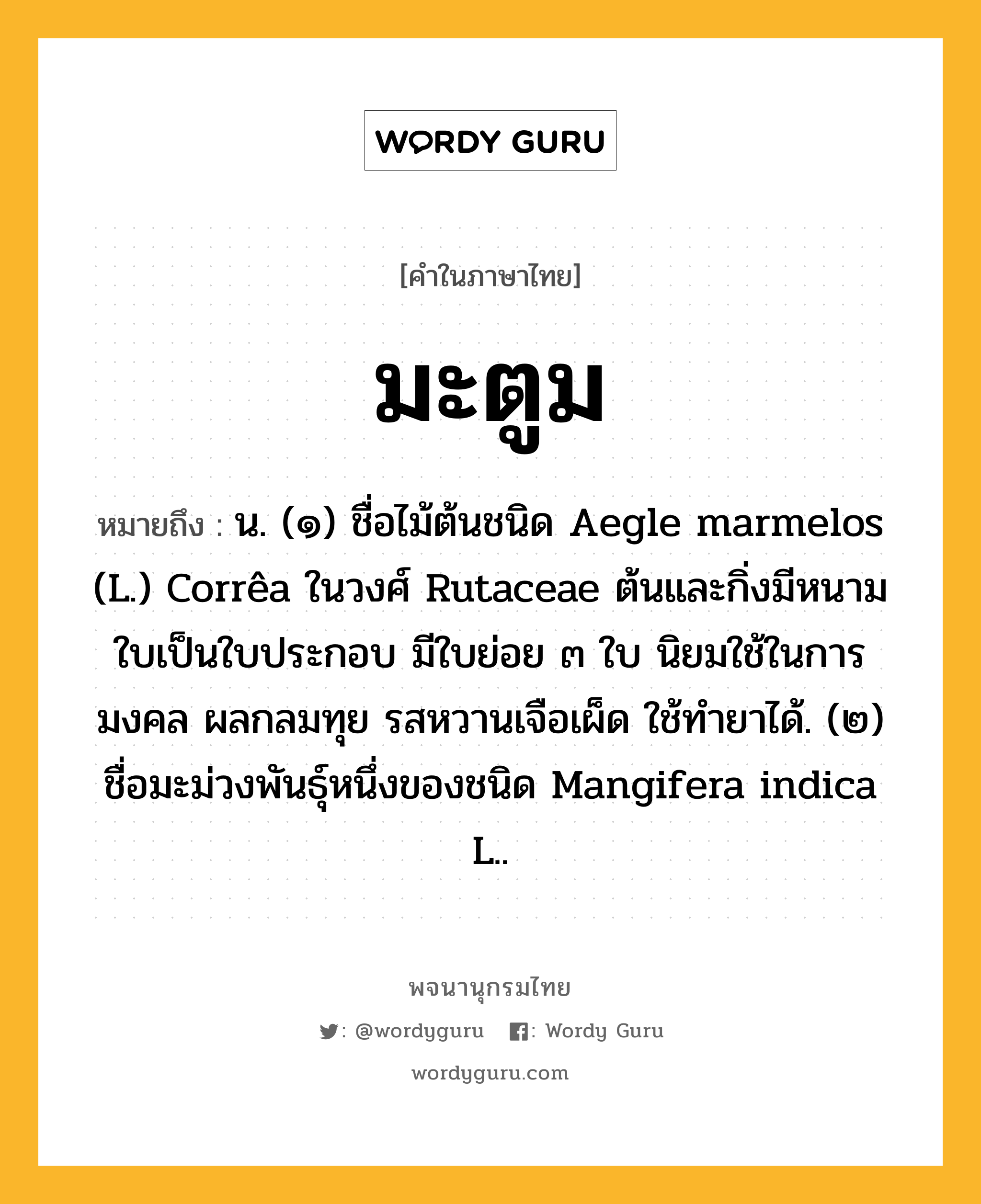 มะตูม หมายถึงอะไร?, คำในภาษาไทย มะตูม หมายถึง น. (๑) ชื่อไม้ต้นชนิด Aegle marmelos (L.) Corrêa ในวงศ์ Rutaceae ต้นและกิ่งมีหนาม ใบเป็นใบประกอบ มีใบย่อย ๓ ใบ นิยมใช้ในการมงคล ผลกลมทุย รสหวานเจือเผ็ด ใช้ทํายาได้. (๒) ชื่อมะม่วงพันธุ์หนึ่งของชนิด Mangifera indica L..