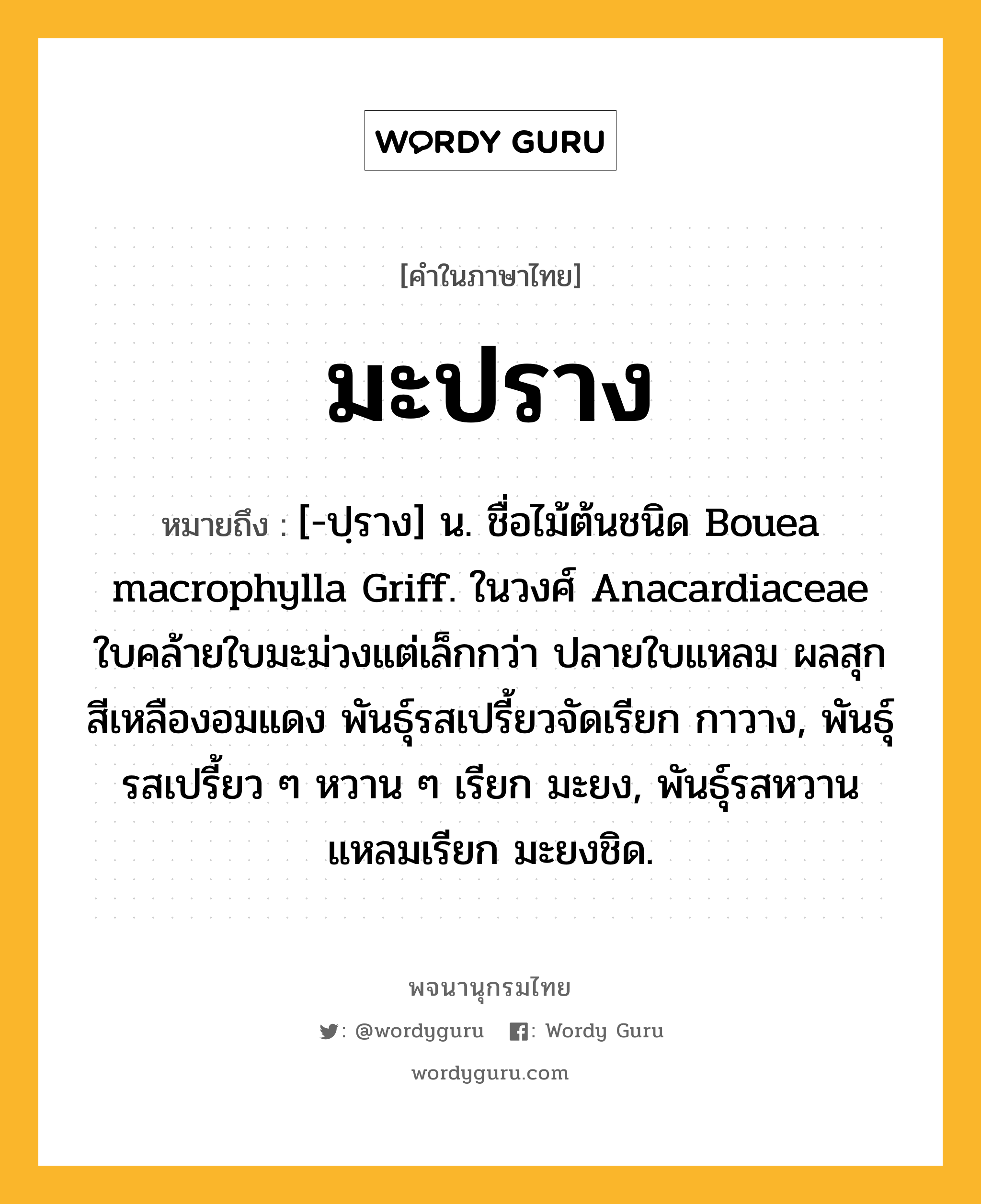 มะปราง ความหมาย หมายถึงอะไร?, คำในภาษาไทย มะปราง หมายถึง [-ปฺราง] น. ชื่อไม้ต้นชนิด Bouea macrophylla Griff. ในวงศ์ Anacardiaceae ใบคล้ายใบมะม่วงแต่เล็กกว่า ปลายใบแหลม ผลสุกสีเหลืองอมแดง พันธุ์รสเปรี้ยวจัดเรียก กาวาง, พันธุ์รสเปรี้ยว ๆ หวาน ๆ เรียก มะยง, พันธุ์รสหวานแหลมเรียก มะยงชิด.