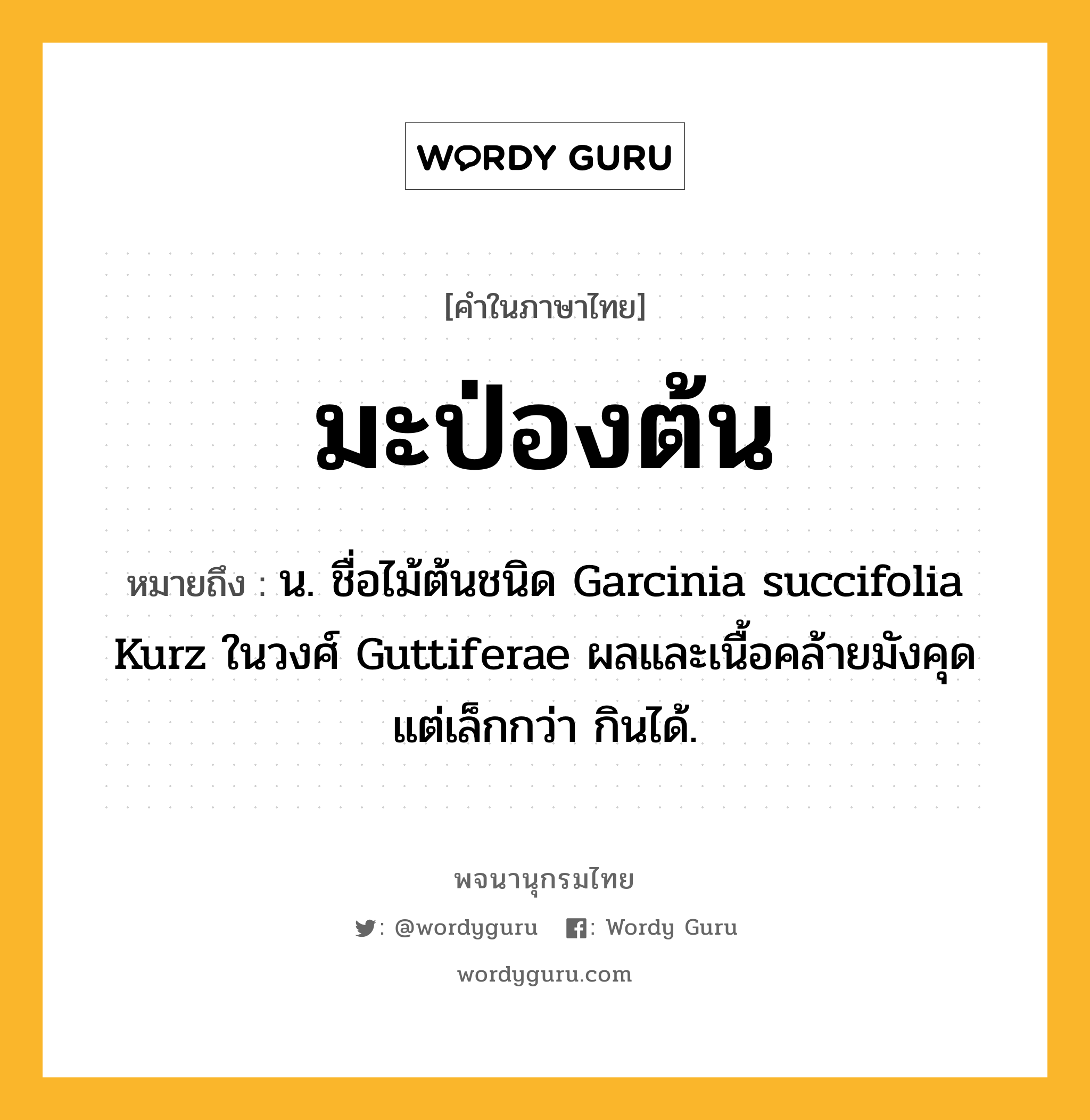 มะป่องต้น ความหมาย หมายถึงอะไร?, คำในภาษาไทย มะป่องต้น หมายถึง น. ชื่อไม้ต้นชนิด Garcinia succifolia Kurz ในวงศ์ Guttiferae ผลและเนื้อคล้ายมังคุดแต่เล็กกว่า กินได้.