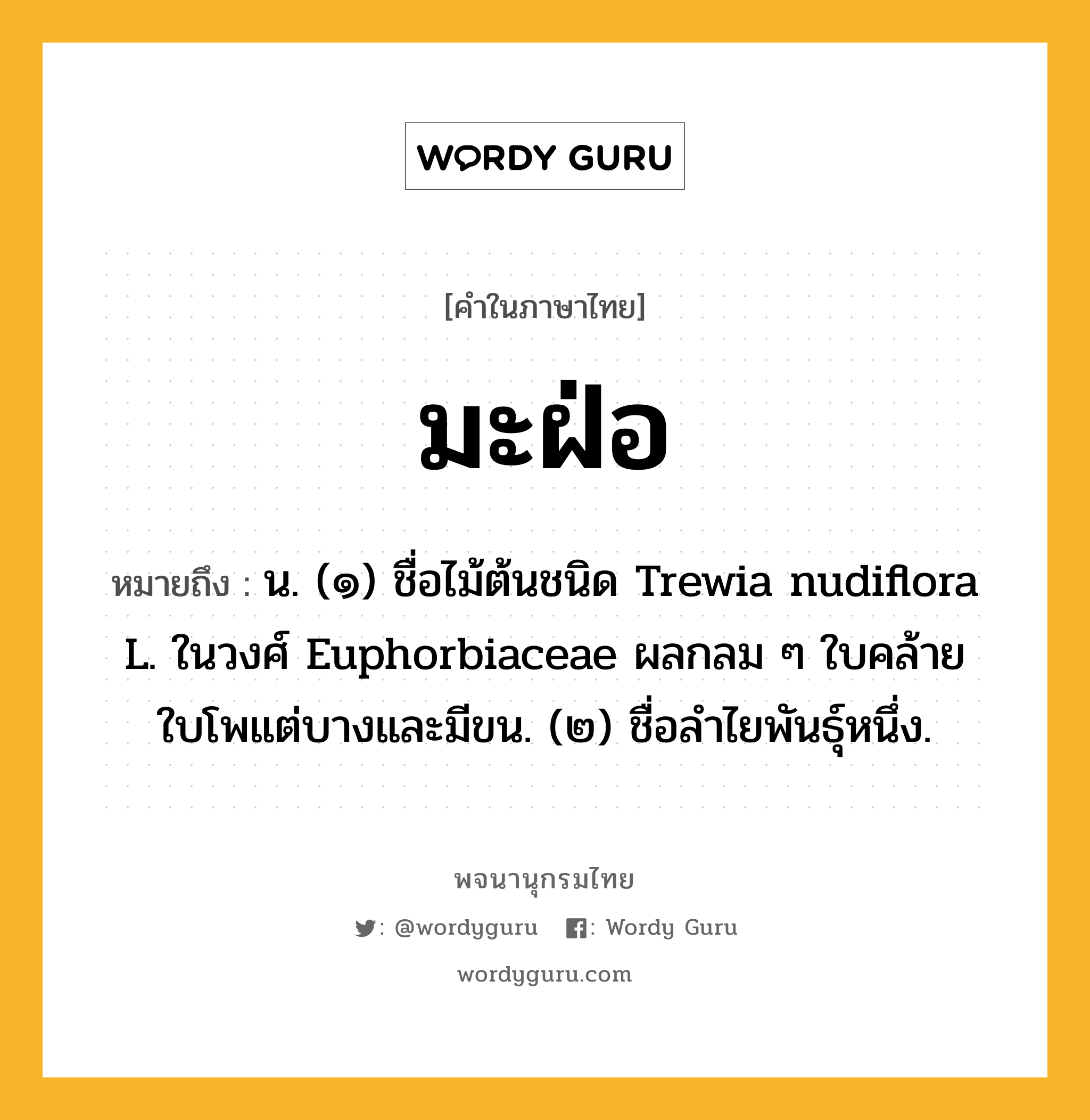 มะฝ่อ ความหมาย หมายถึงอะไร?, คำในภาษาไทย มะฝ่อ หมายถึง น. (๑) ชื่อไม้ต้นชนิด Trewia nudiflora L. ในวงศ์ Euphorbiaceae ผลกลม ๆ ใบคล้ายใบโพแต่บางและมีขน. (๒) ชื่อลําไยพันธุ์หนึ่ง.