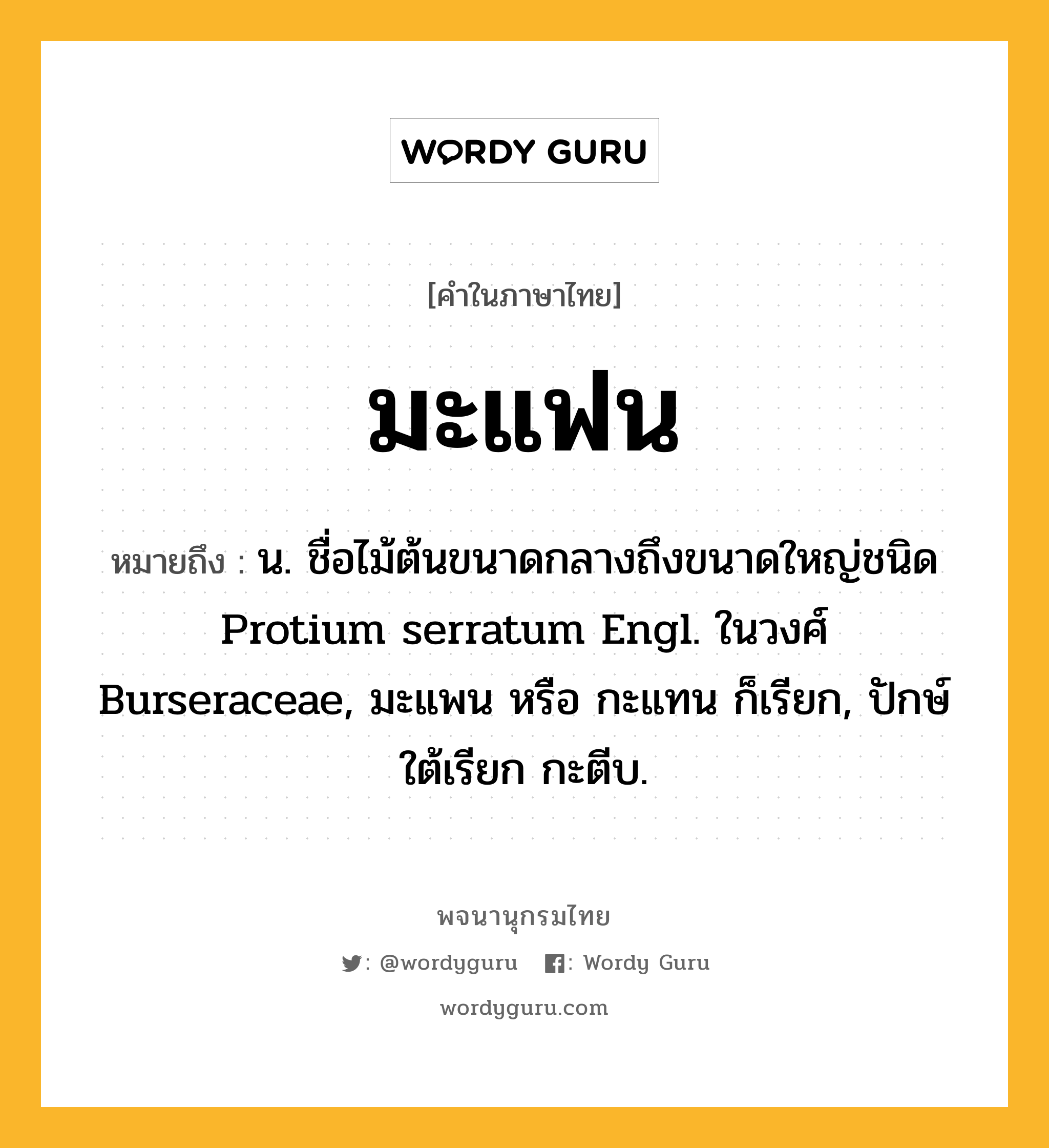 มะแฟน หมายถึงอะไร?, คำในภาษาไทย มะแฟน หมายถึง น. ชื่อไม้ต้นขนาดกลางถึงขนาดใหญ่ชนิด Protium serratum Engl. ในวงศ์ Burseraceae, มะแพน หรือ กะแทน ก็เรียก, ปักษ์ใต้เรียก กะตีบ.