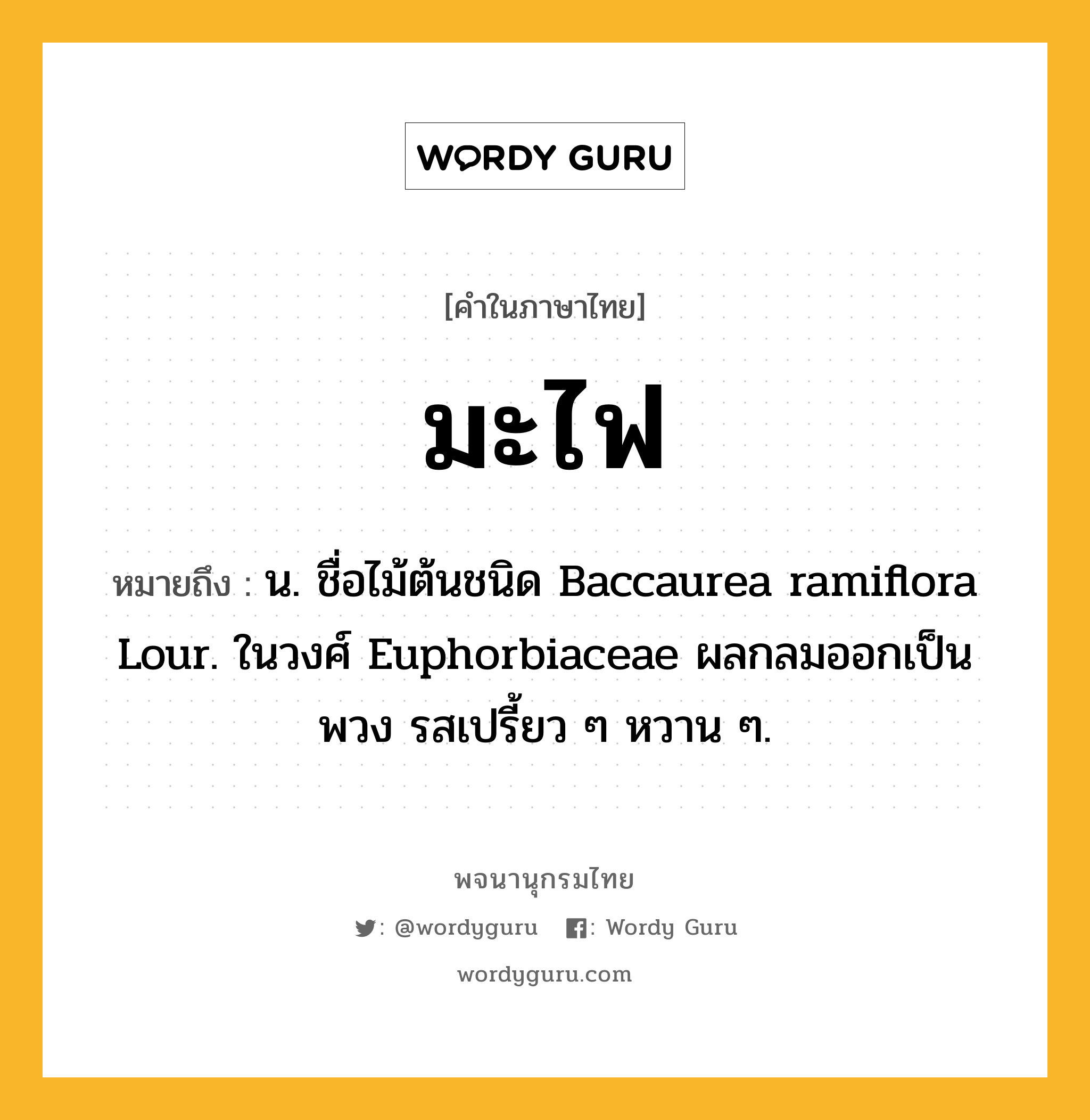 มะไฟ หมายถึงอะไร?, คำในภาษาไทย มะไฟ หมายถึง น. ชื่อไม้ต้นชนิด Baccaurea ramiflora Lour. ในวงศ์ Euphorbiaceae ผลกลมออกเป็นพวง รสเปรี้ยว ๆ หวาน ๆ.