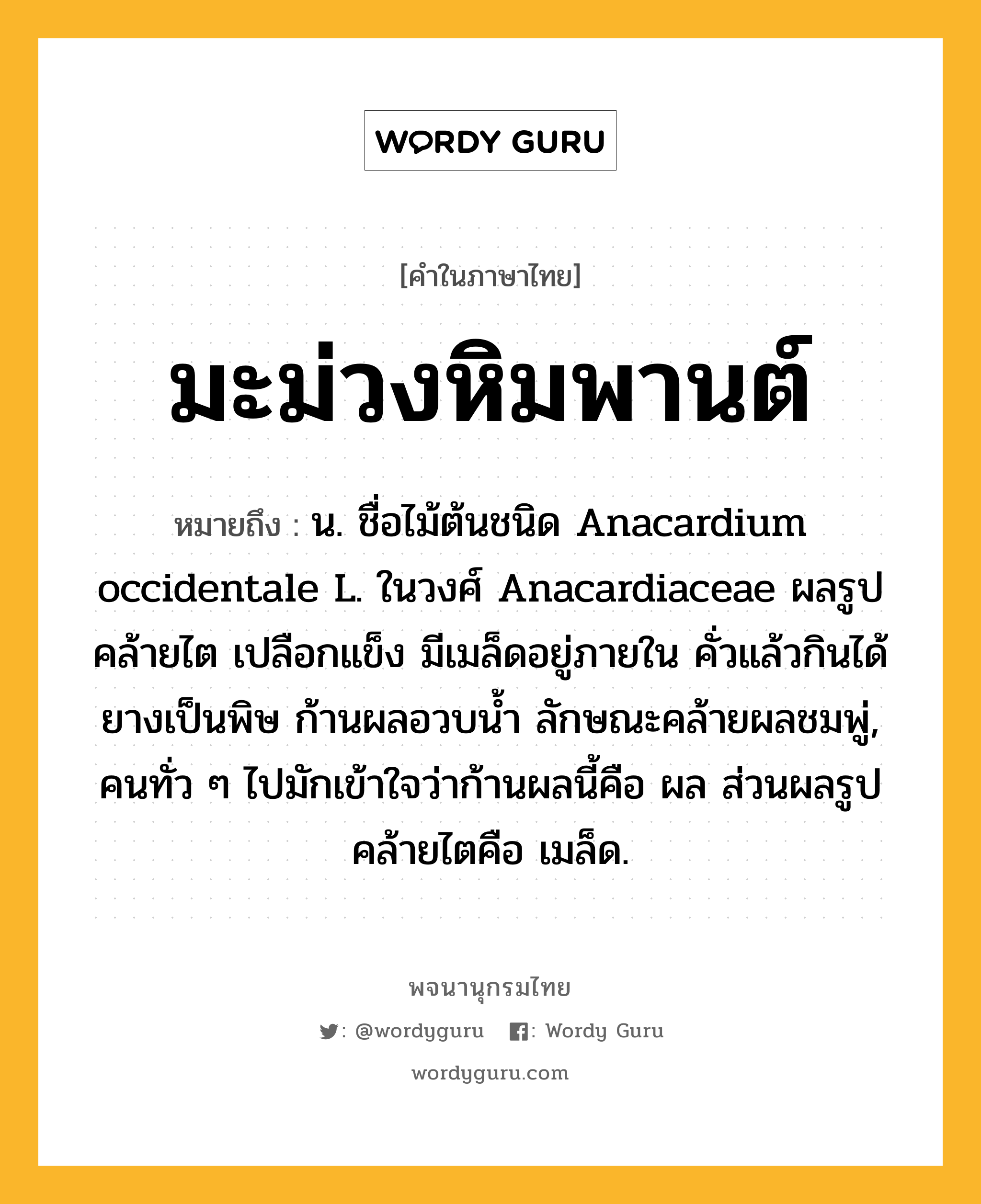 มะม่วงหิมพานต์ หมายถึงอะไร?, คำในภาษาไทย มะม่วงหิมพานต์ หมายถึง น. ชื่อไม้ต้นชนิด Anacardium occidentale L. ในวงศ์ Anacardiaceae ผลรูปคล้ายไต เปลือกแข็ง มีเมล็ดอยู่ภายใน คั่วแล้วกินได้ ยางเป็นพิษ ก้านผลอวบนํ้า ลักษณะคล้ายผลชมพู่, คนทั่ว ๆ ไปมักเข้าใจว่าก้านผลนี้คือ ผล ส่วนผลรูปคล้ายไตคือ เมล็ด.