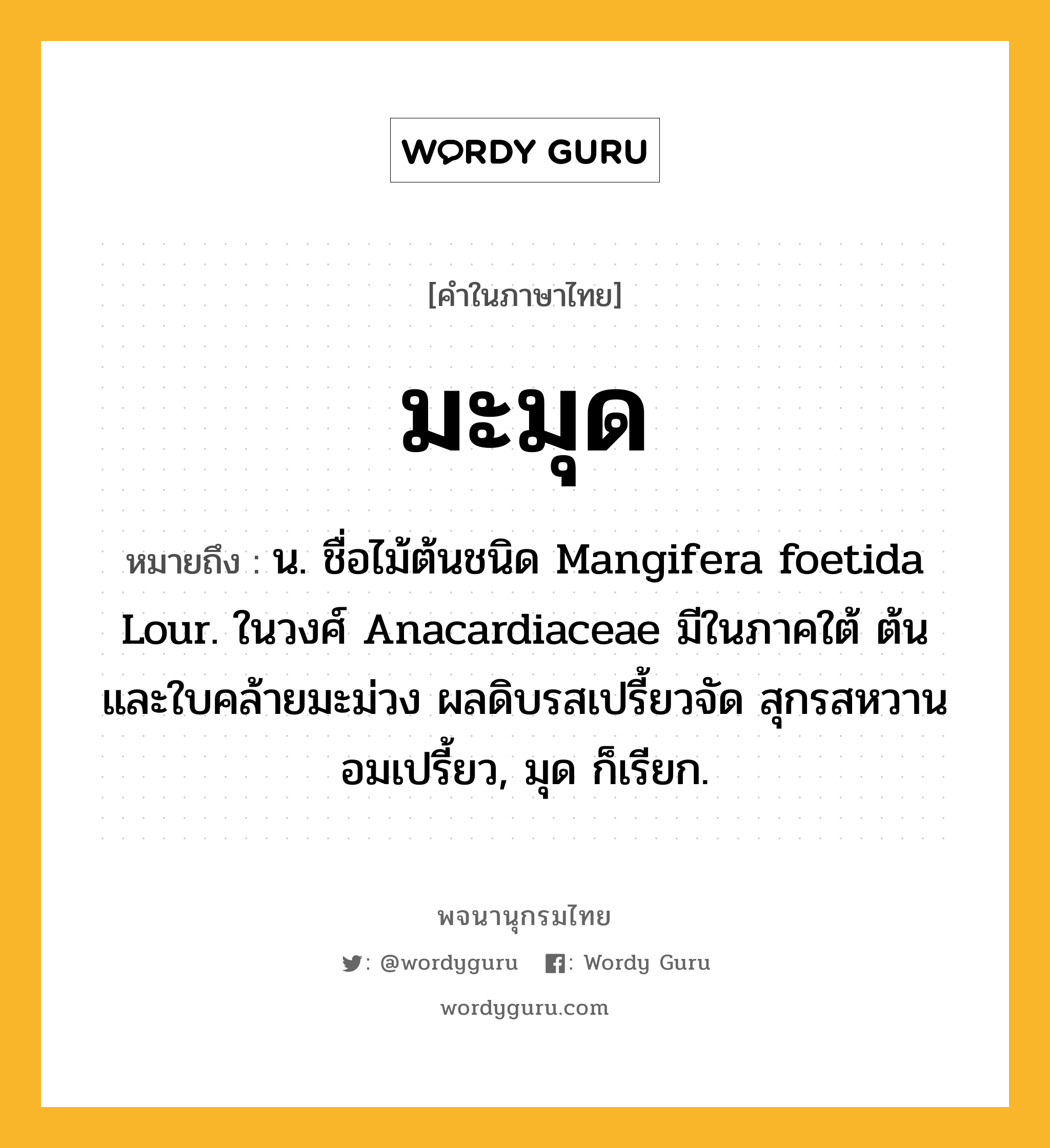 มะมุด ความหมาย หมายถึงอะไร?, คำในภาษาไทย มะมุด หมายถึง น. ชื่อไม้ต้นชนิด Mangifera foetida Lour. ในวงศ์ Anacardiaceae มีในภาคใต้ ต้นและใบคล้ายมะม่วง ผลดิบรสเปรี้ยวจัด สุกรสหวานอมเปรี้ยว, มุด ก็เรียก.