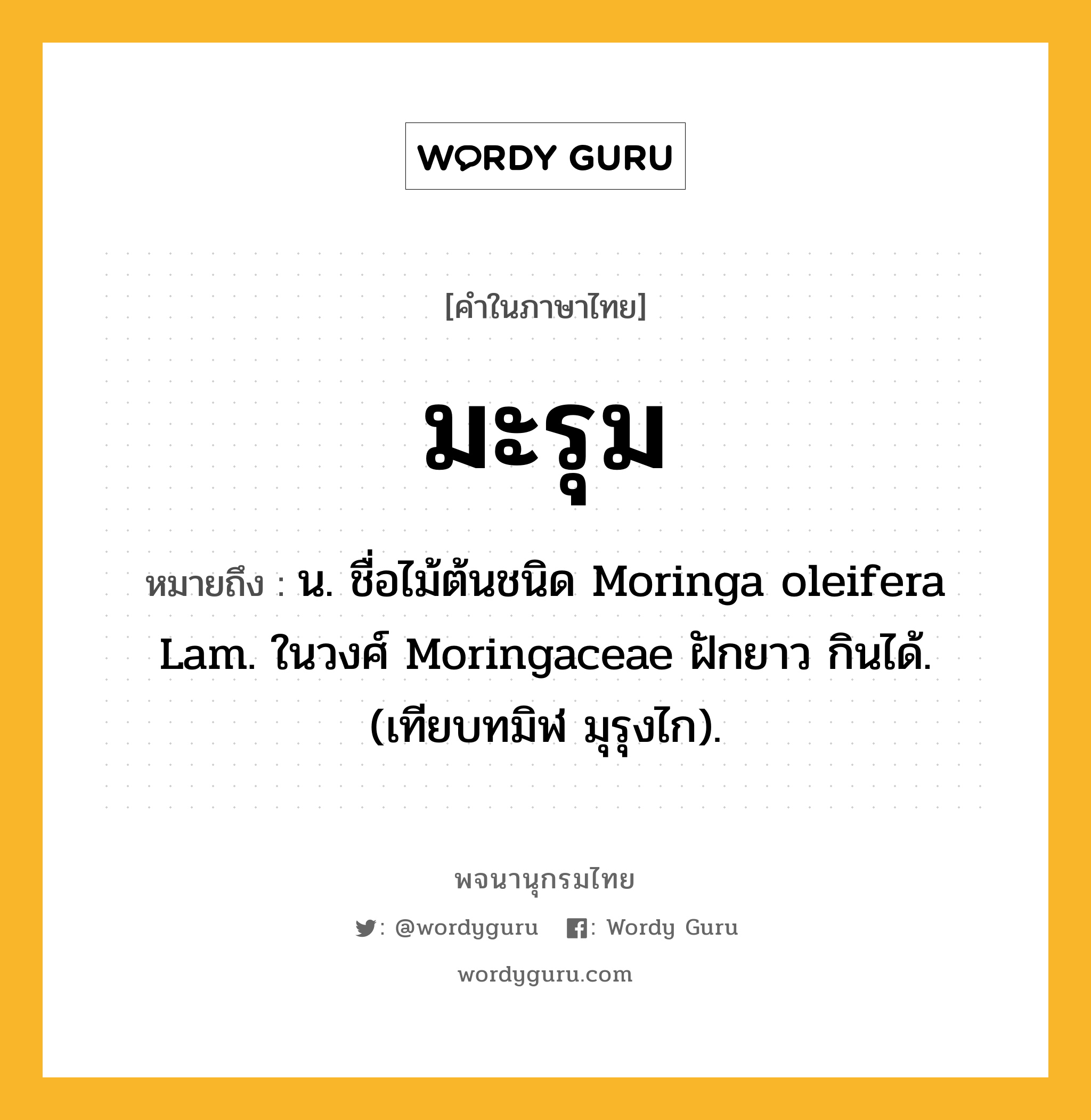 มะรุม หมายถึงอะไร?, คำในภาษาไทย มะรุม หมายถึง น. ชื่อไม้ต้นชนิด Moringa oleifera Lam. ในวงศ์ Moringaceae ฝักยาว กินได้. (เทียบทมิฬ มุรุงไก).