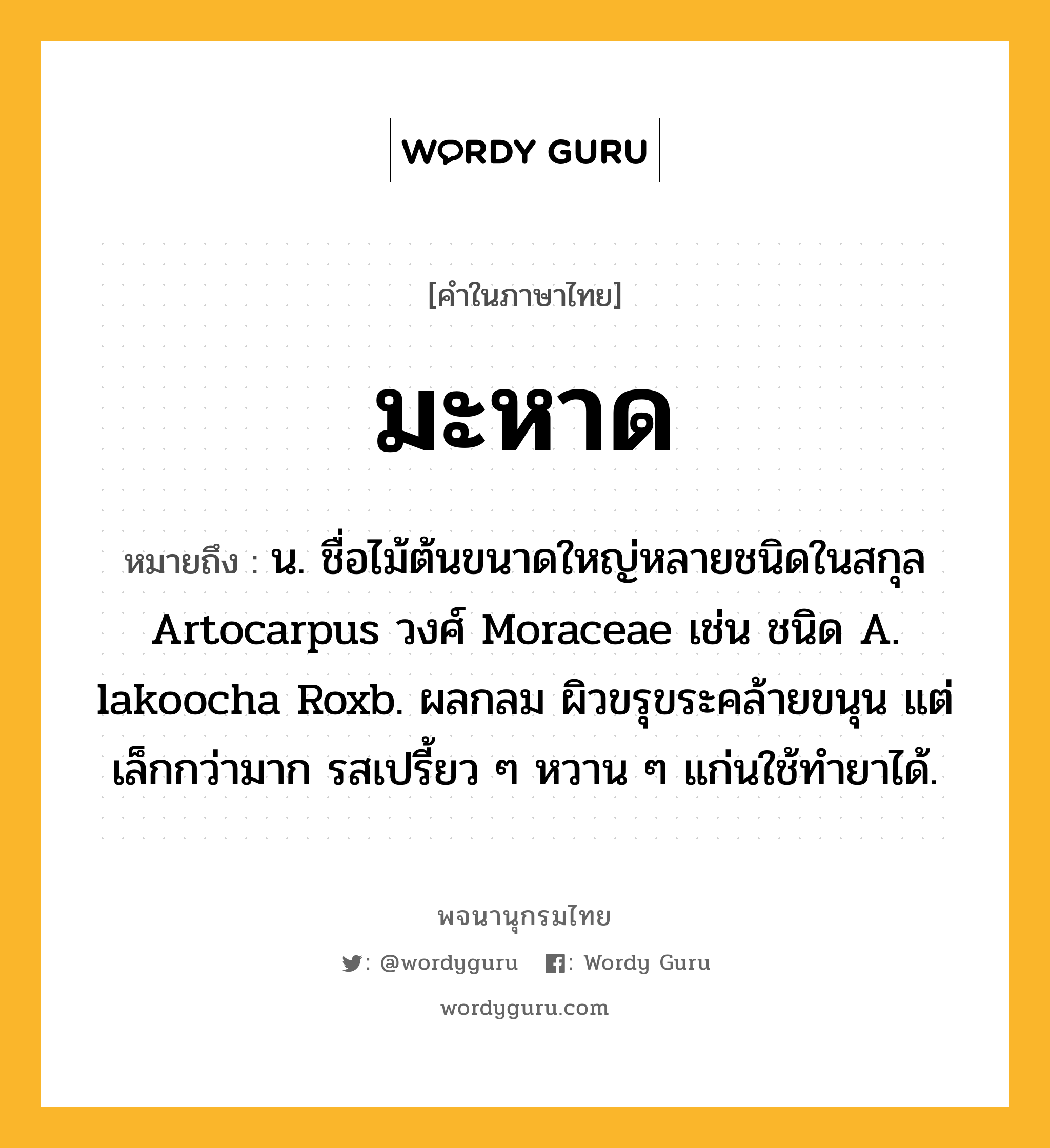 มะหาด ความหมาย หมายถึงอะไร?, คำในภาษาไทย มะหาด หมายถึง น. ชื่อไม้ต้นขนาดใหญ่หลายชนิดในสกุล Artocarpus วงศ์ Moraceae เช่น ชนิด A. lakoocha Roxb. ผลกลม ผิวขรุขระคล้ายขนุน แต่เล็กกว่ามาก รสเปรี้ยว ๆ หวาน ๆ แก่นใช้ทํายาได้.