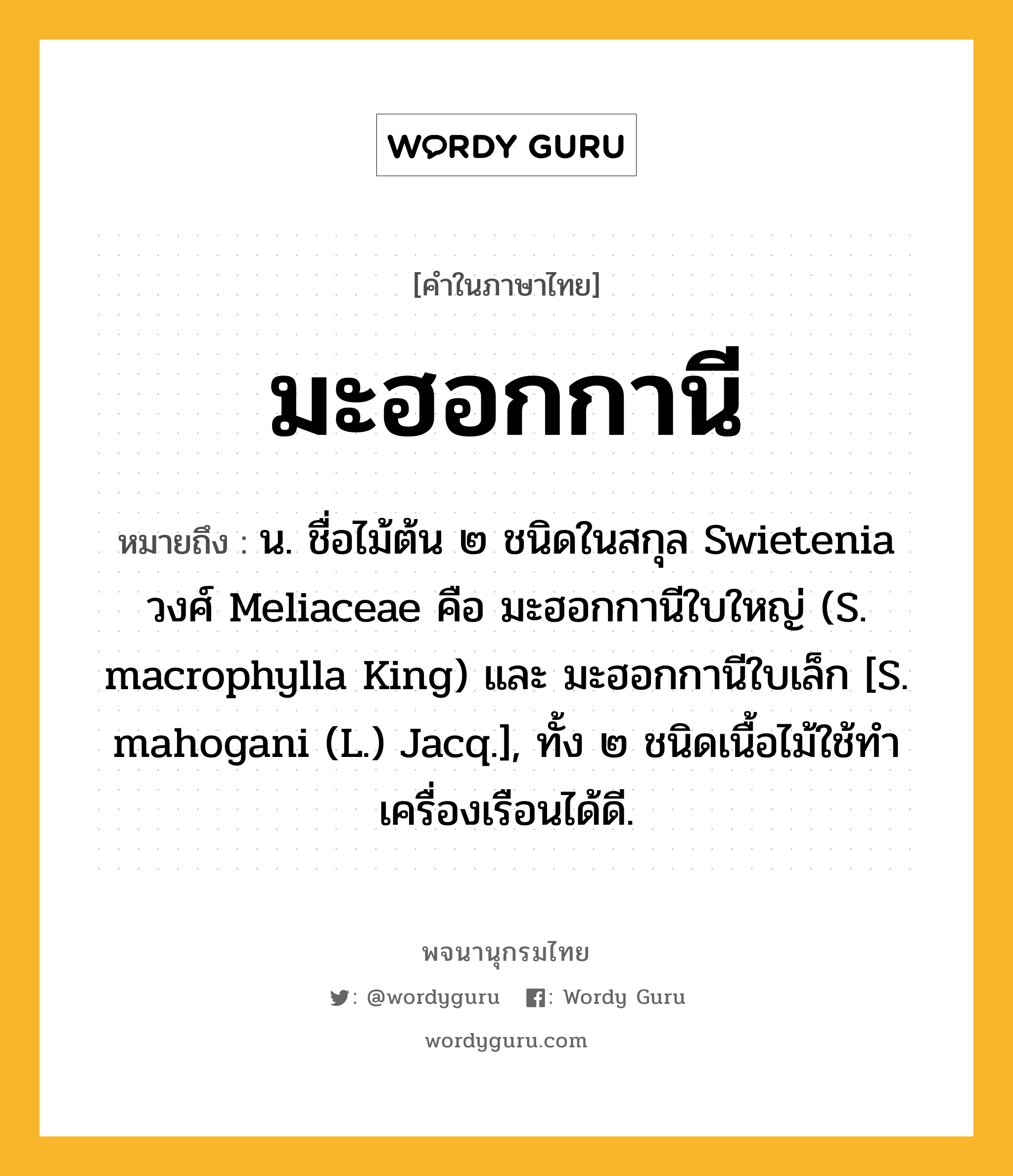 มะฮอกกานี ความหมาย หมายถึงอะไร?, คำในภาษาไทย มะฮอกกานี หมายถึง น. ชื่อไม้ต้น ๒ ชนิดในสกุล Swietenia วงศ์ Meliaceae คือ มะฮอกกานีใบใหญ่ (S. macrophylla King) และ มะฮอกกานีใบเล็ก [S. mahogani (L.) Jacq.], ทั้ง ๒ ชนิดเนื้อไม้ใช้ทําเครื่องเรือนได้ดี.